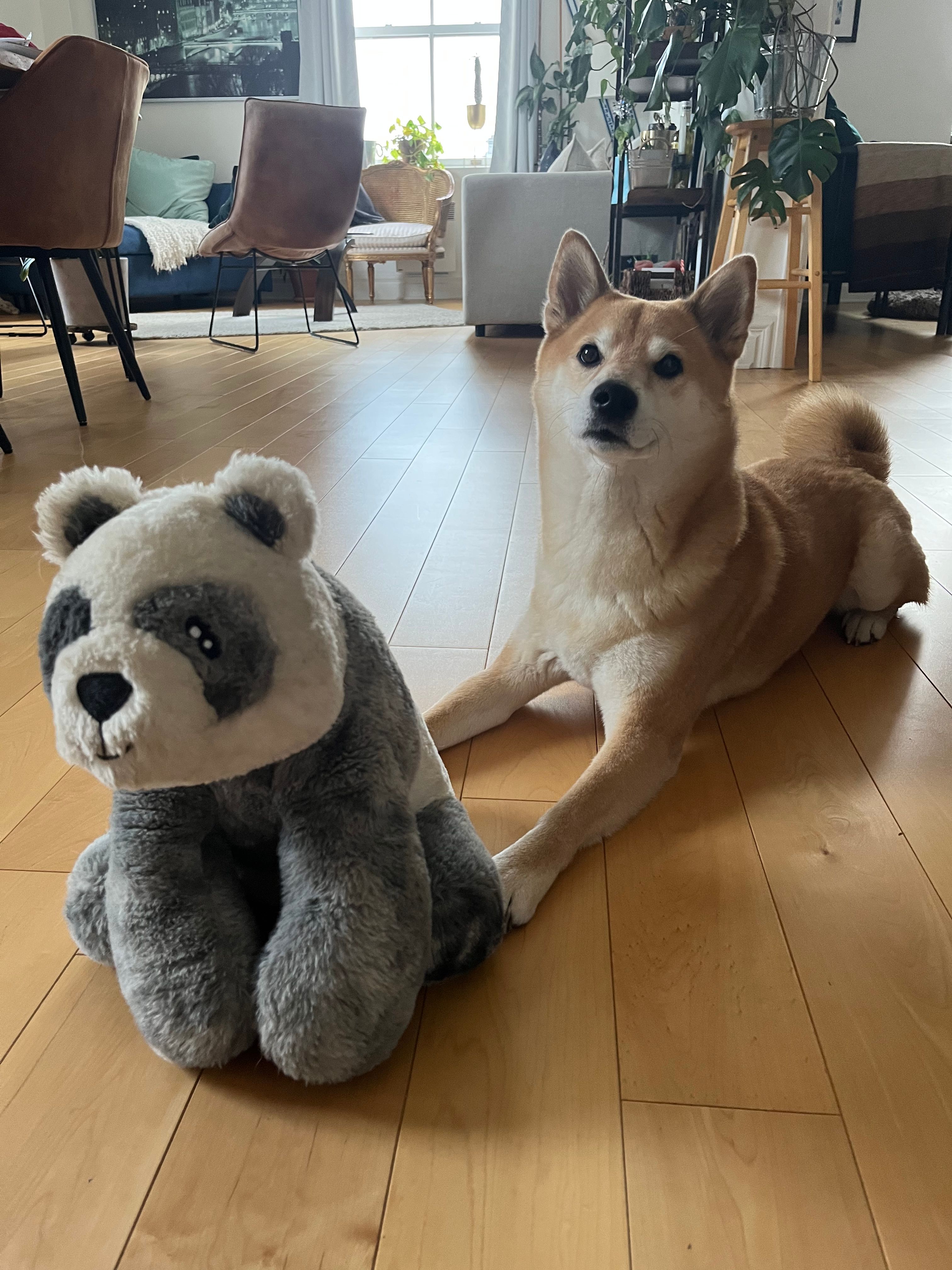 image-27