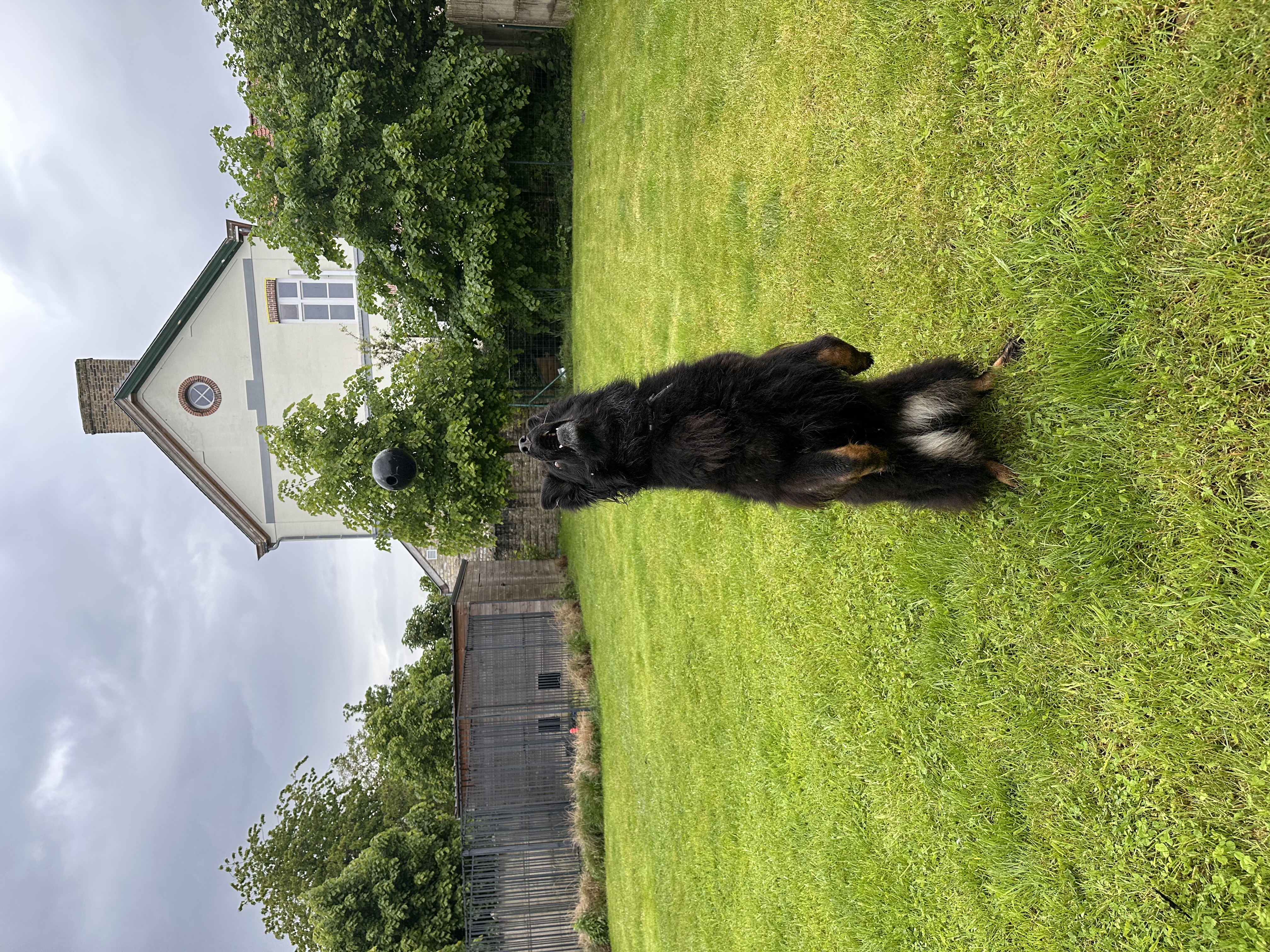 image-7