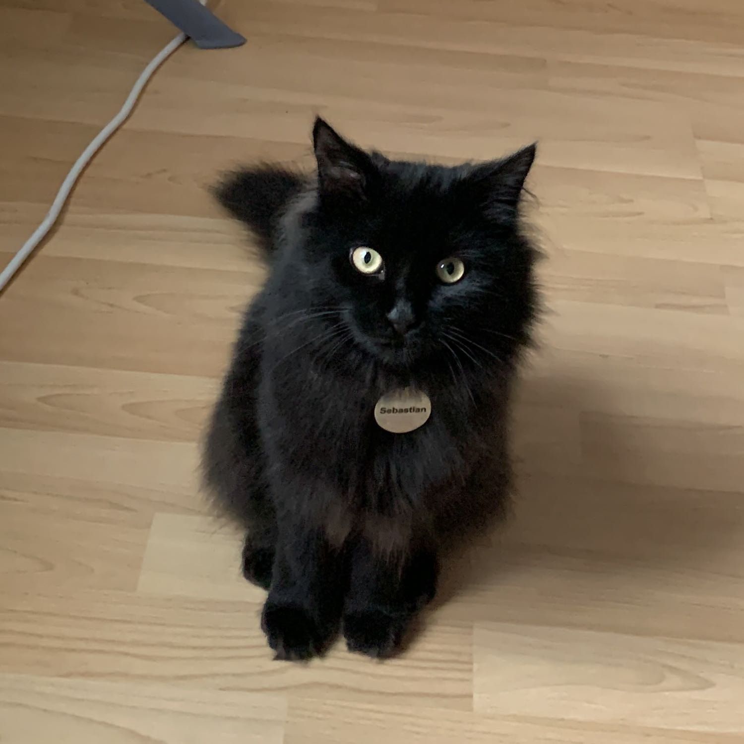 Sebastian