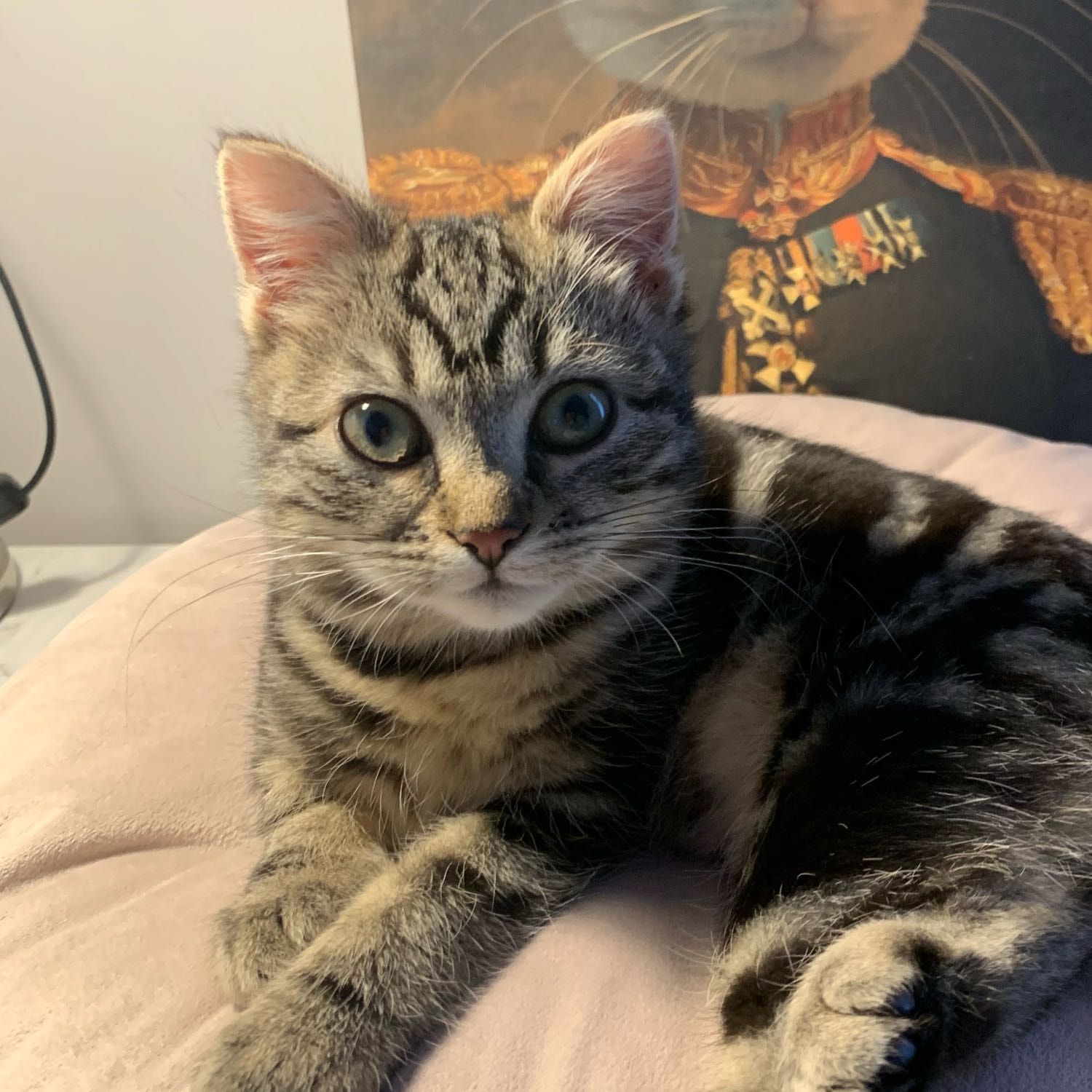 Tilly
