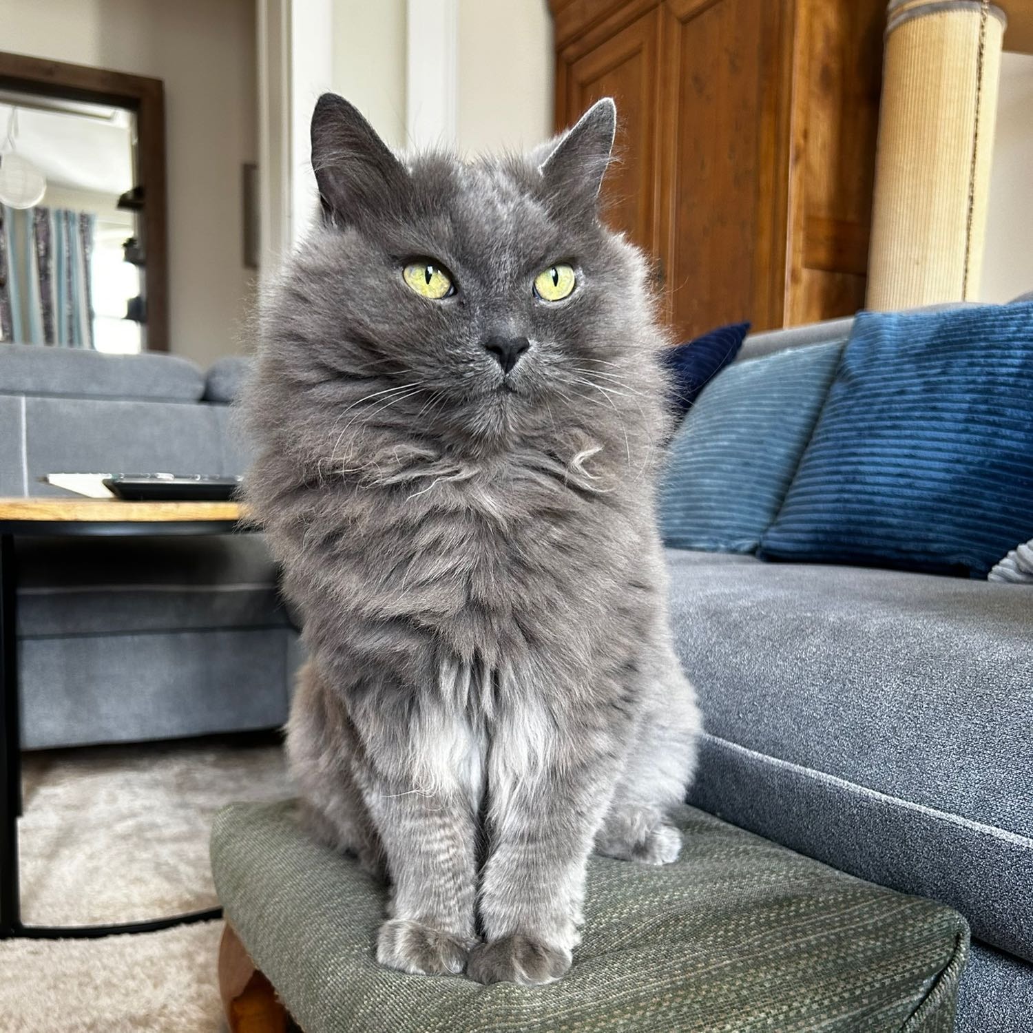 Tufty