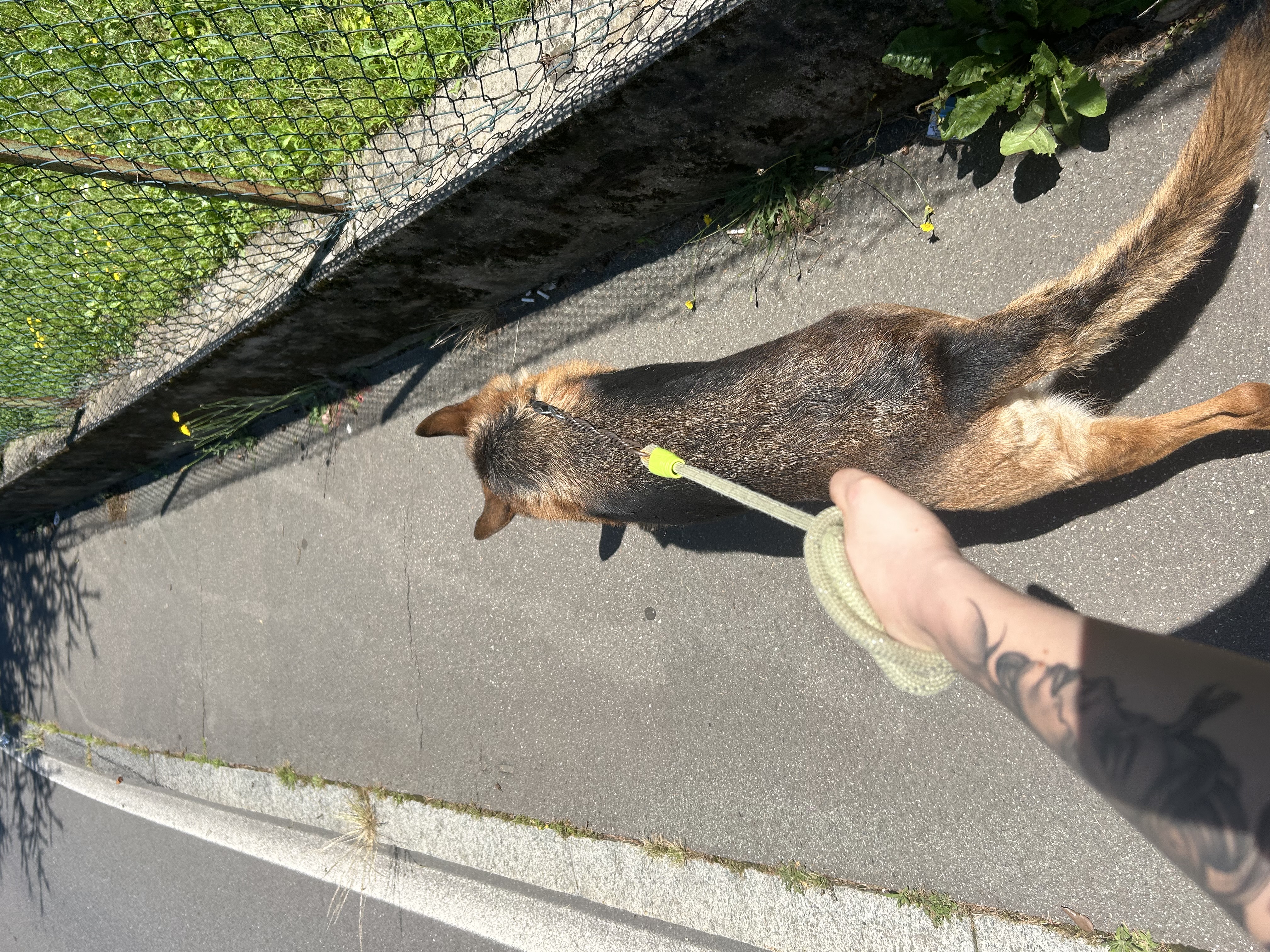 image-6