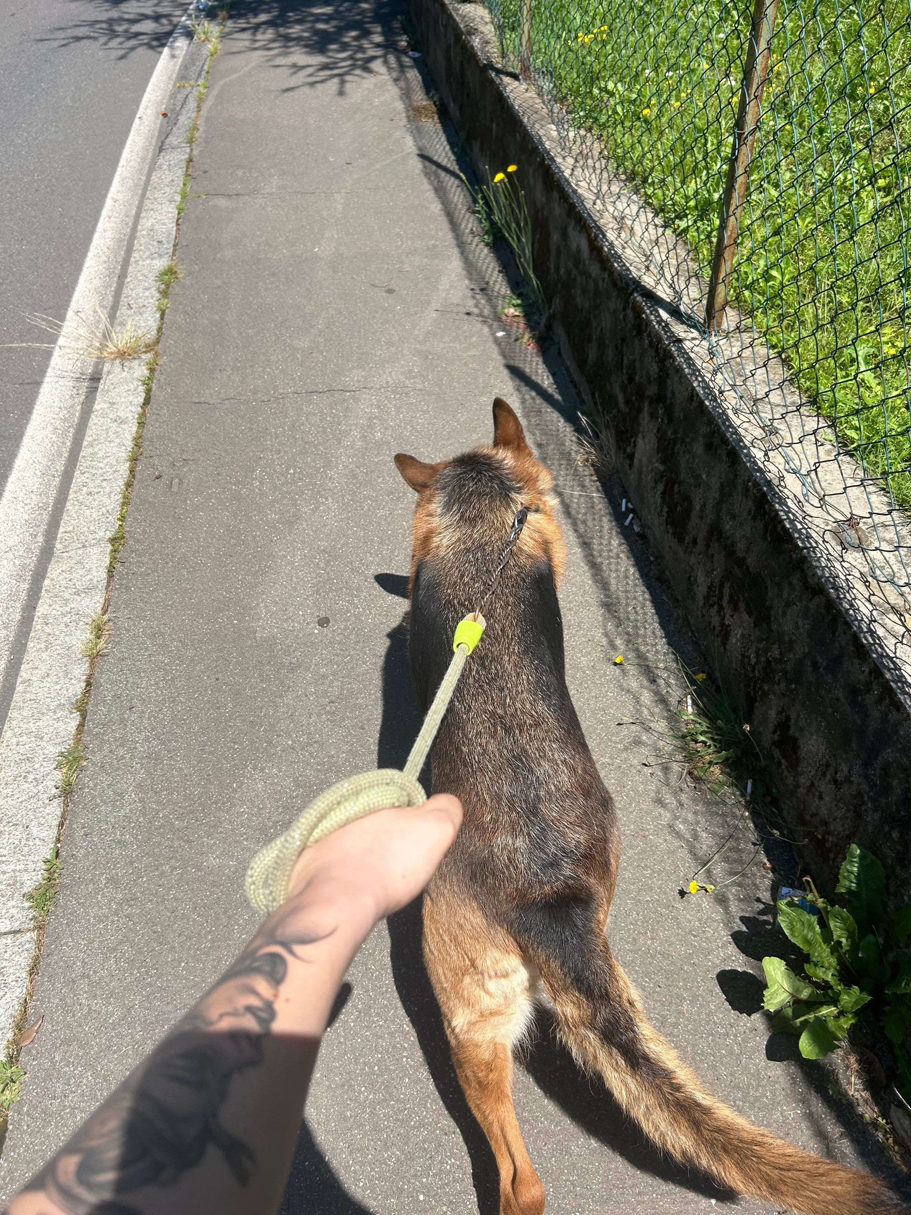 image-6