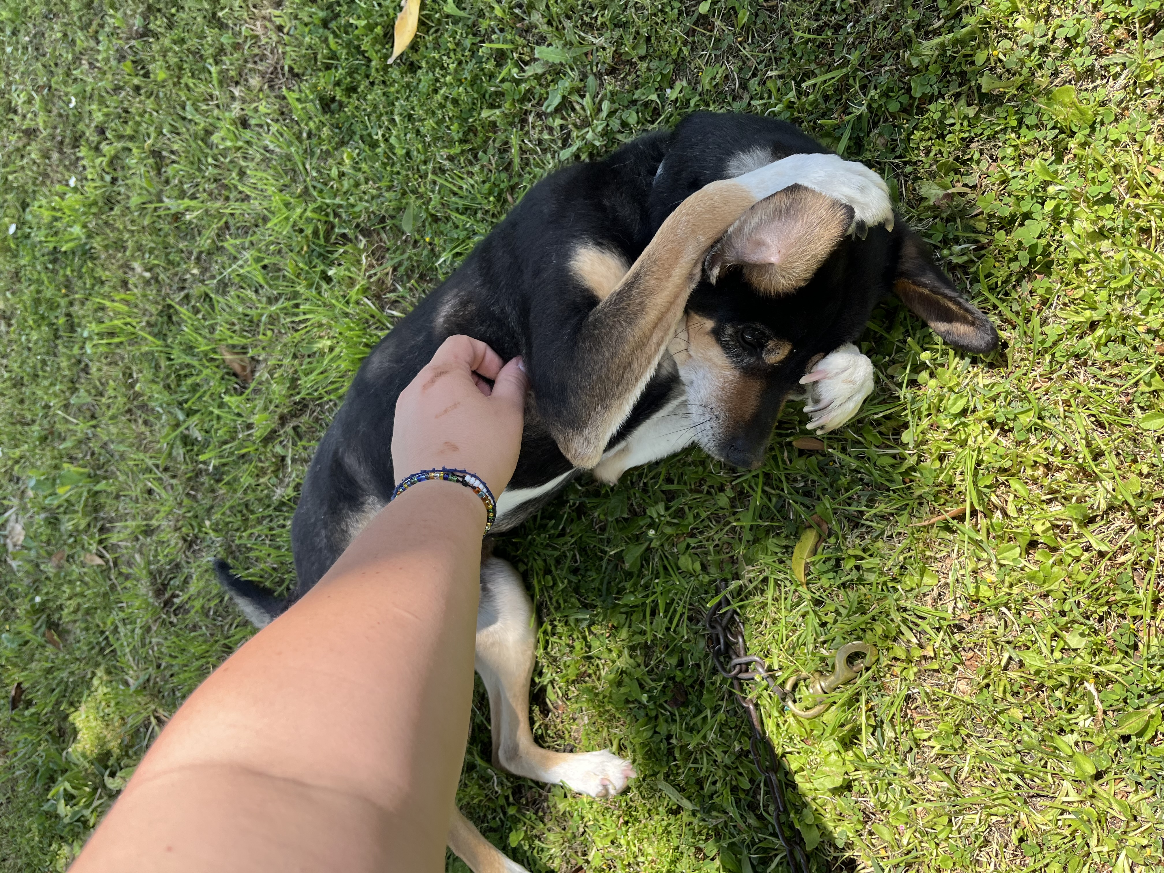 image-7