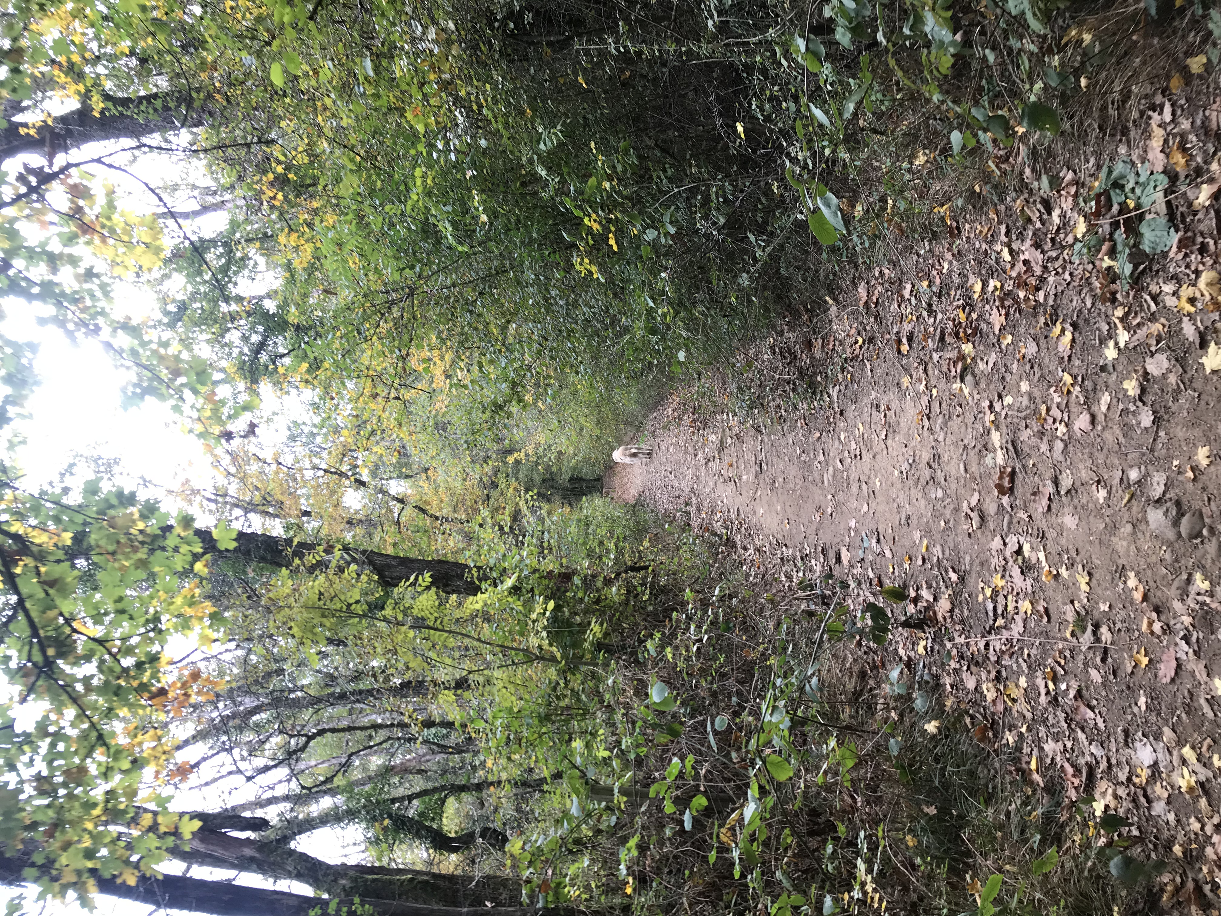 image-14