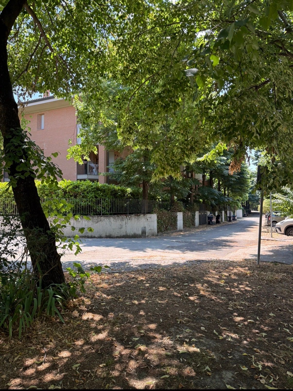 image-17