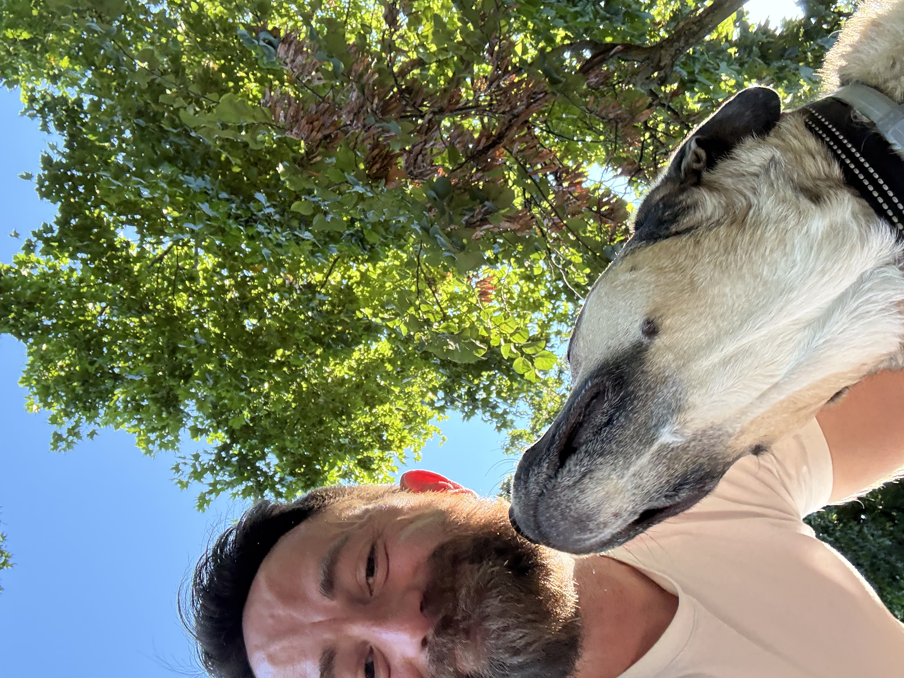 image-2