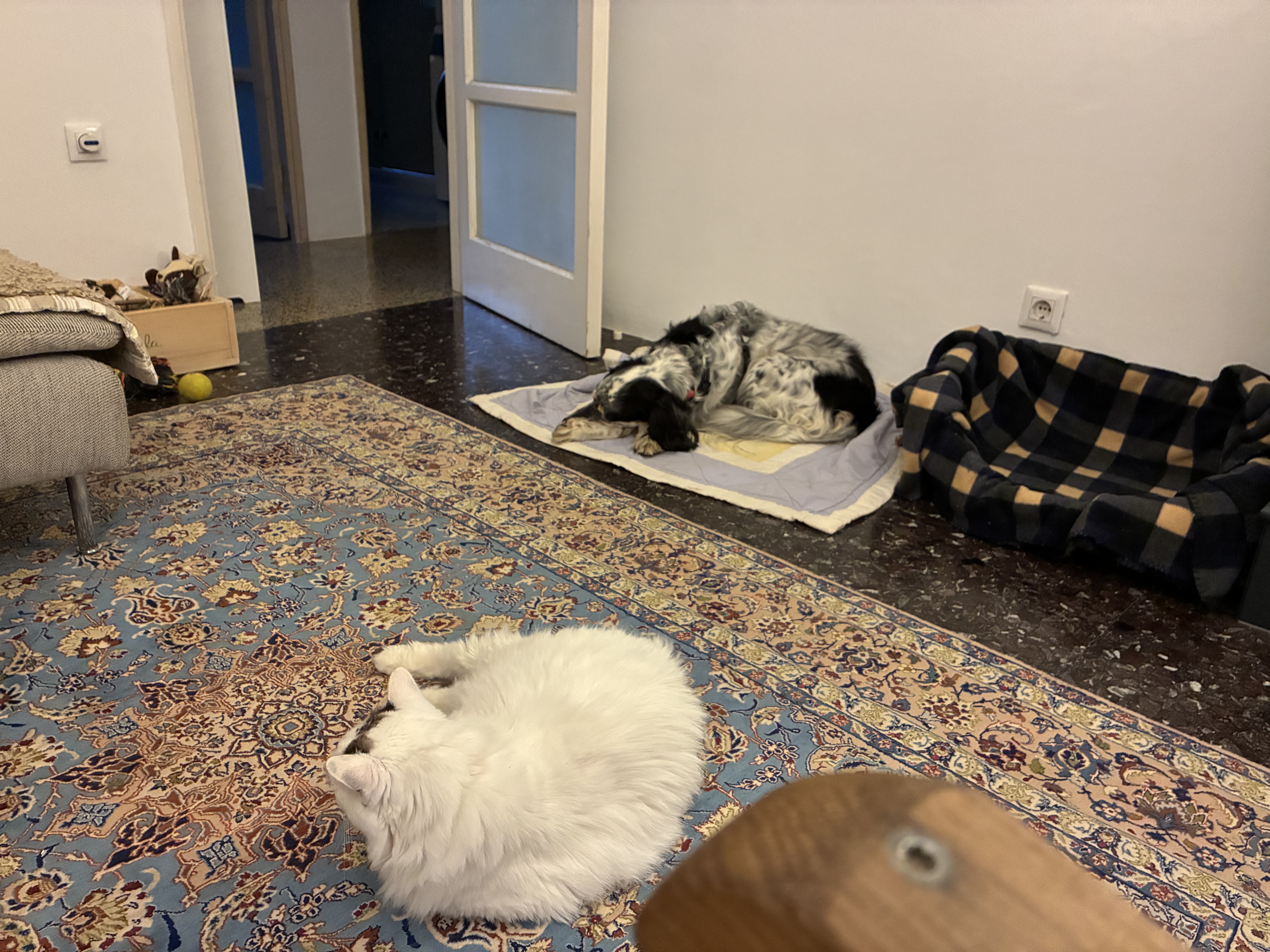 image-19