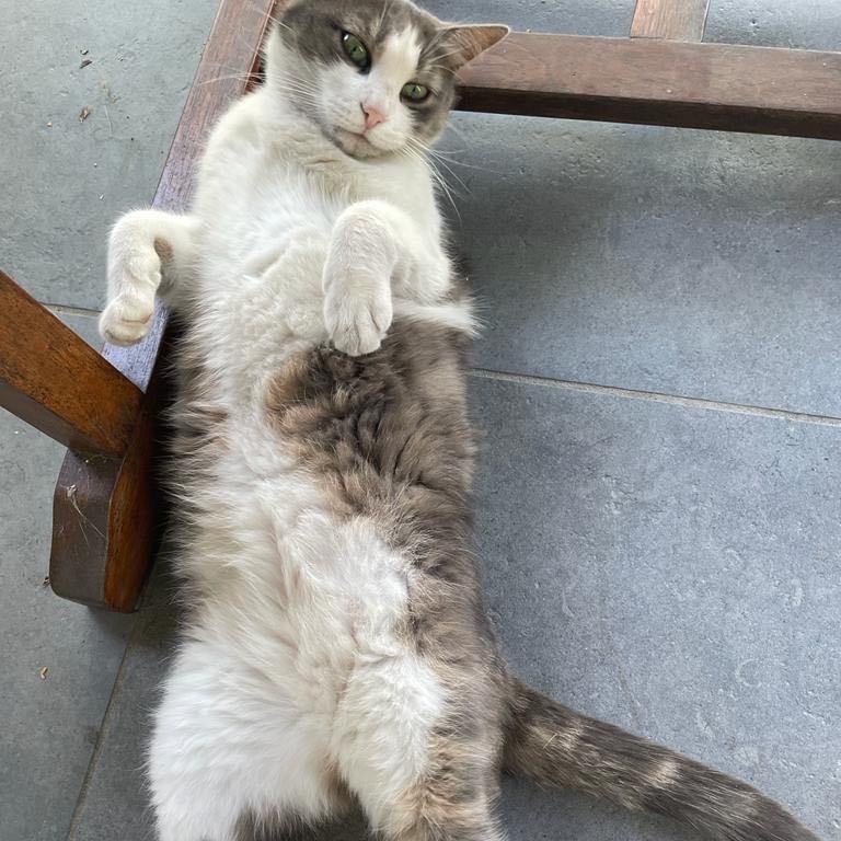 Elsa