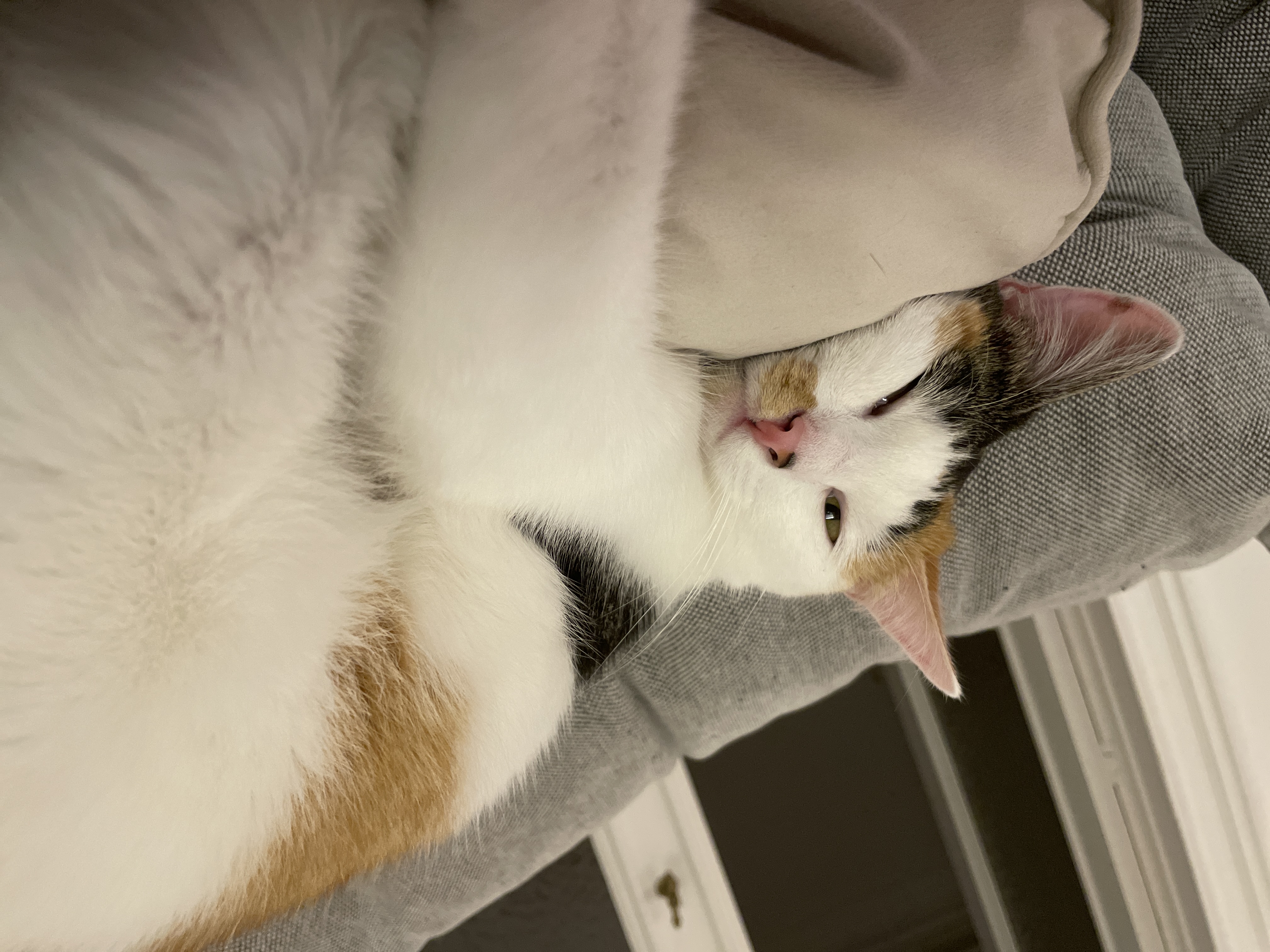image-8