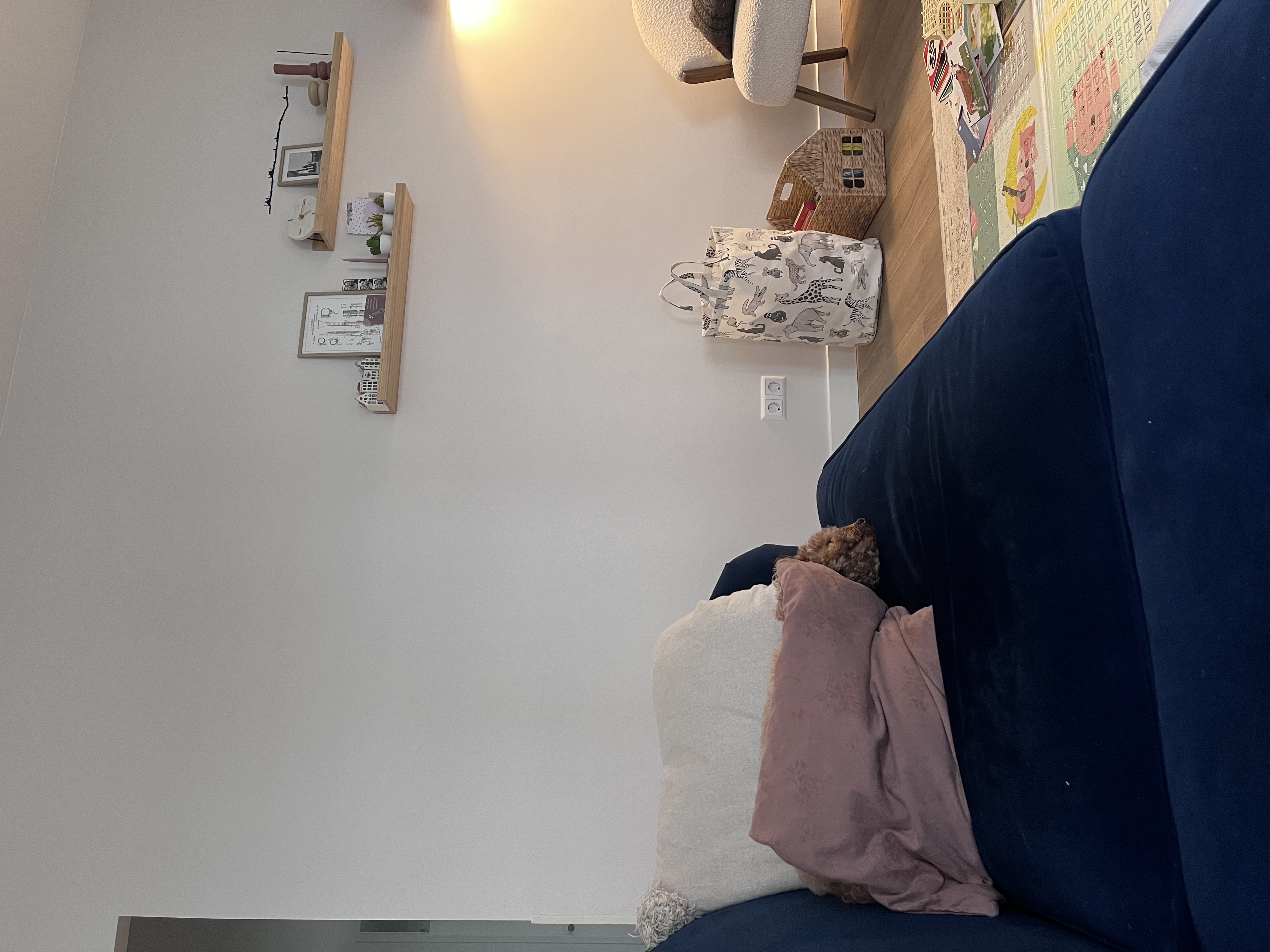 image-16