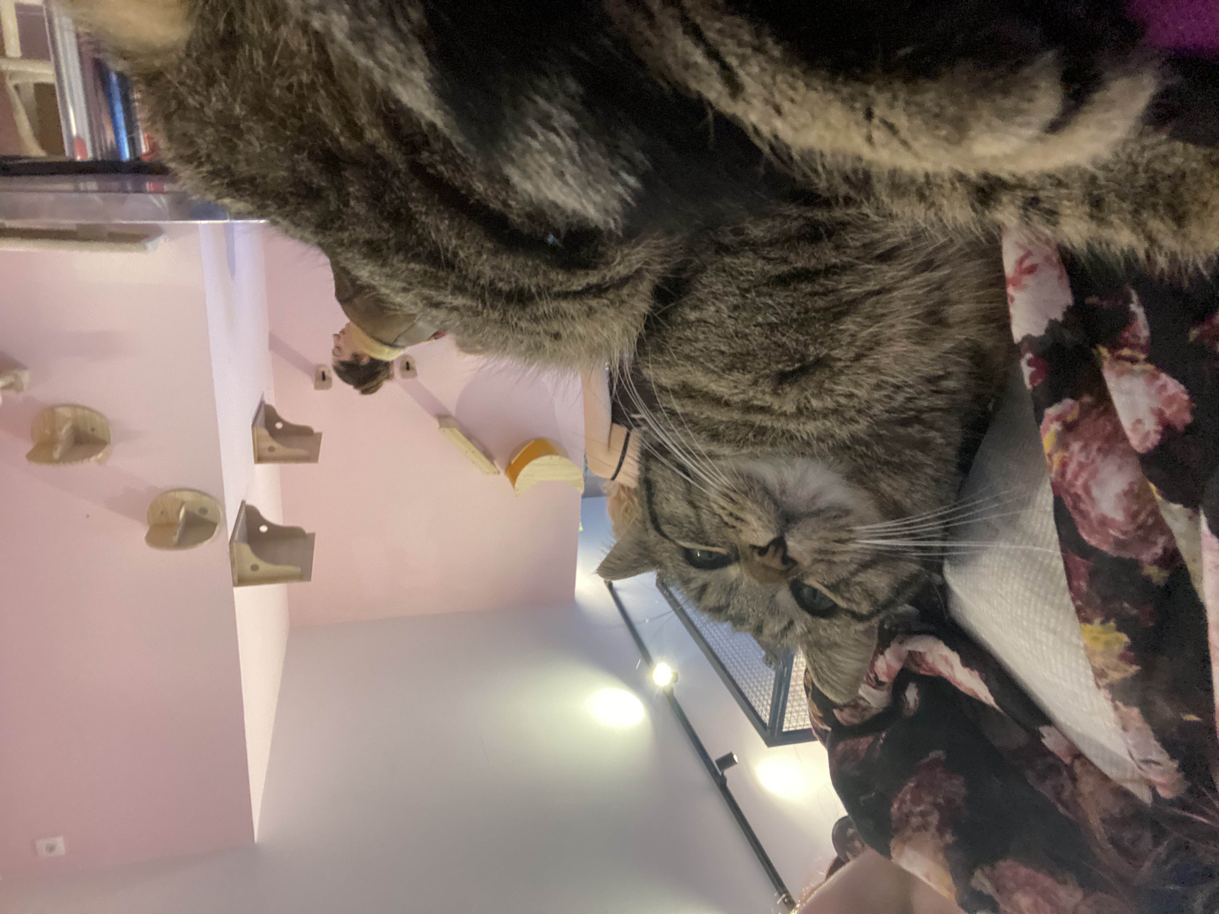 image-8
