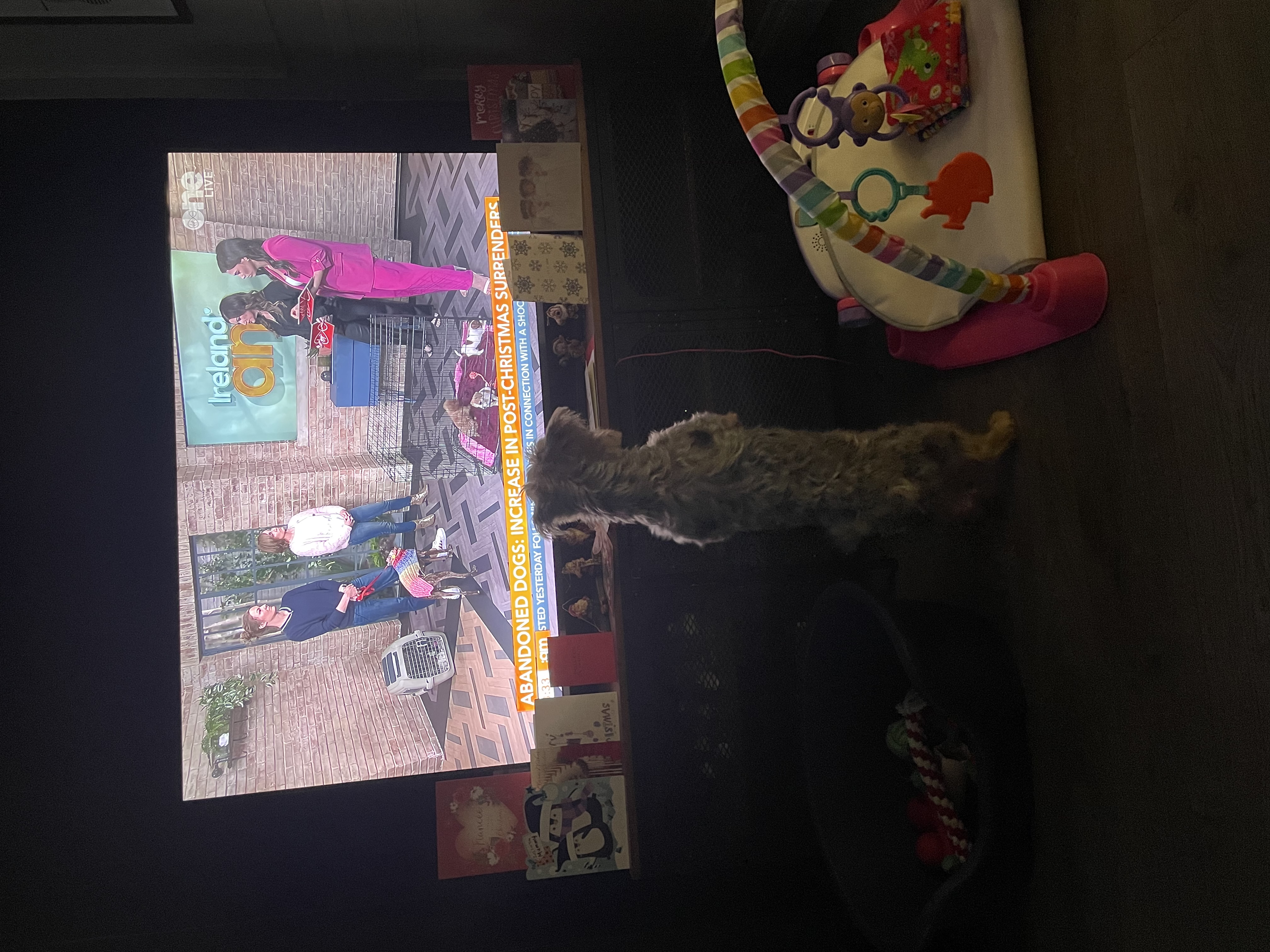 image-5