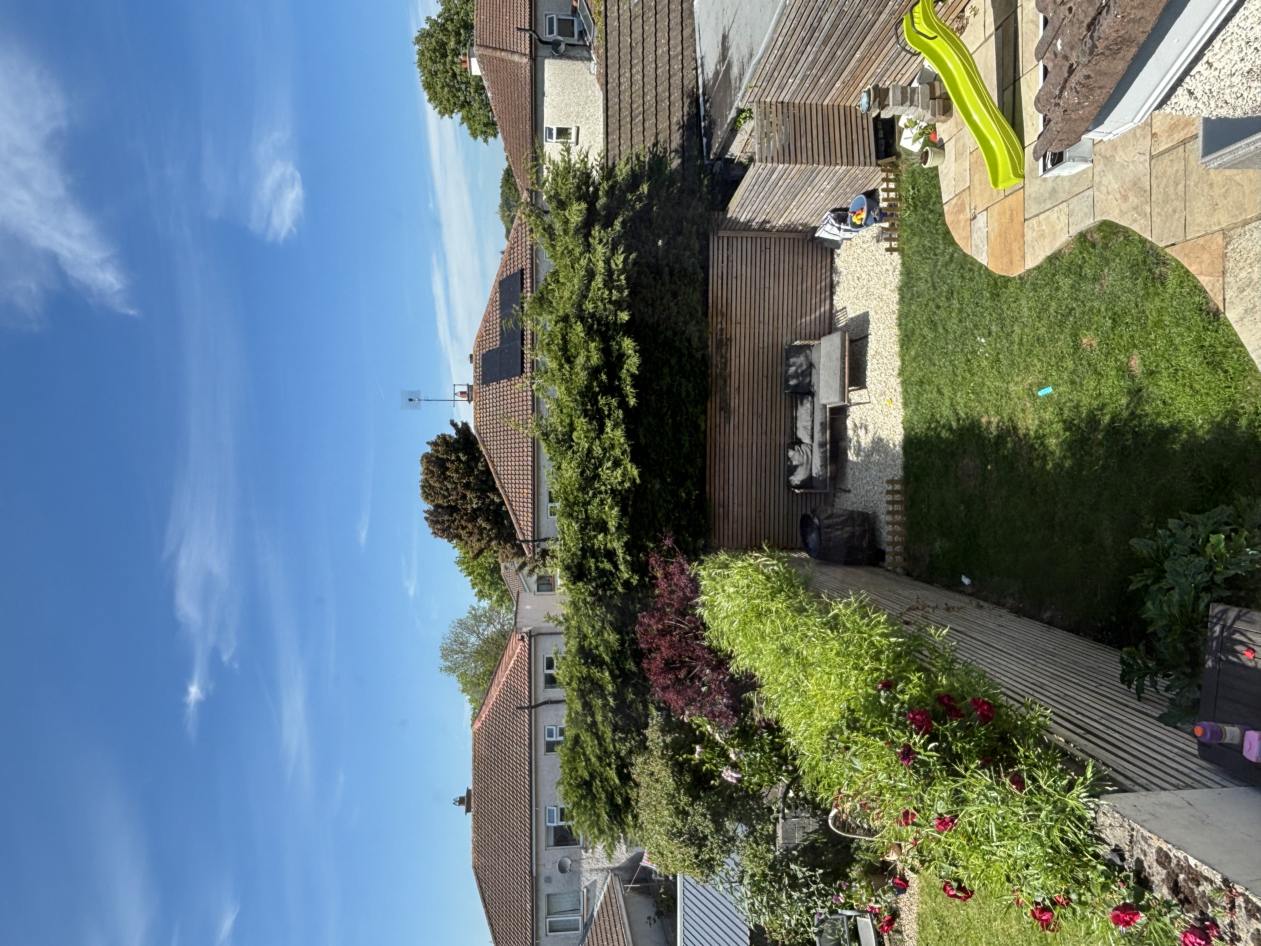 image-20