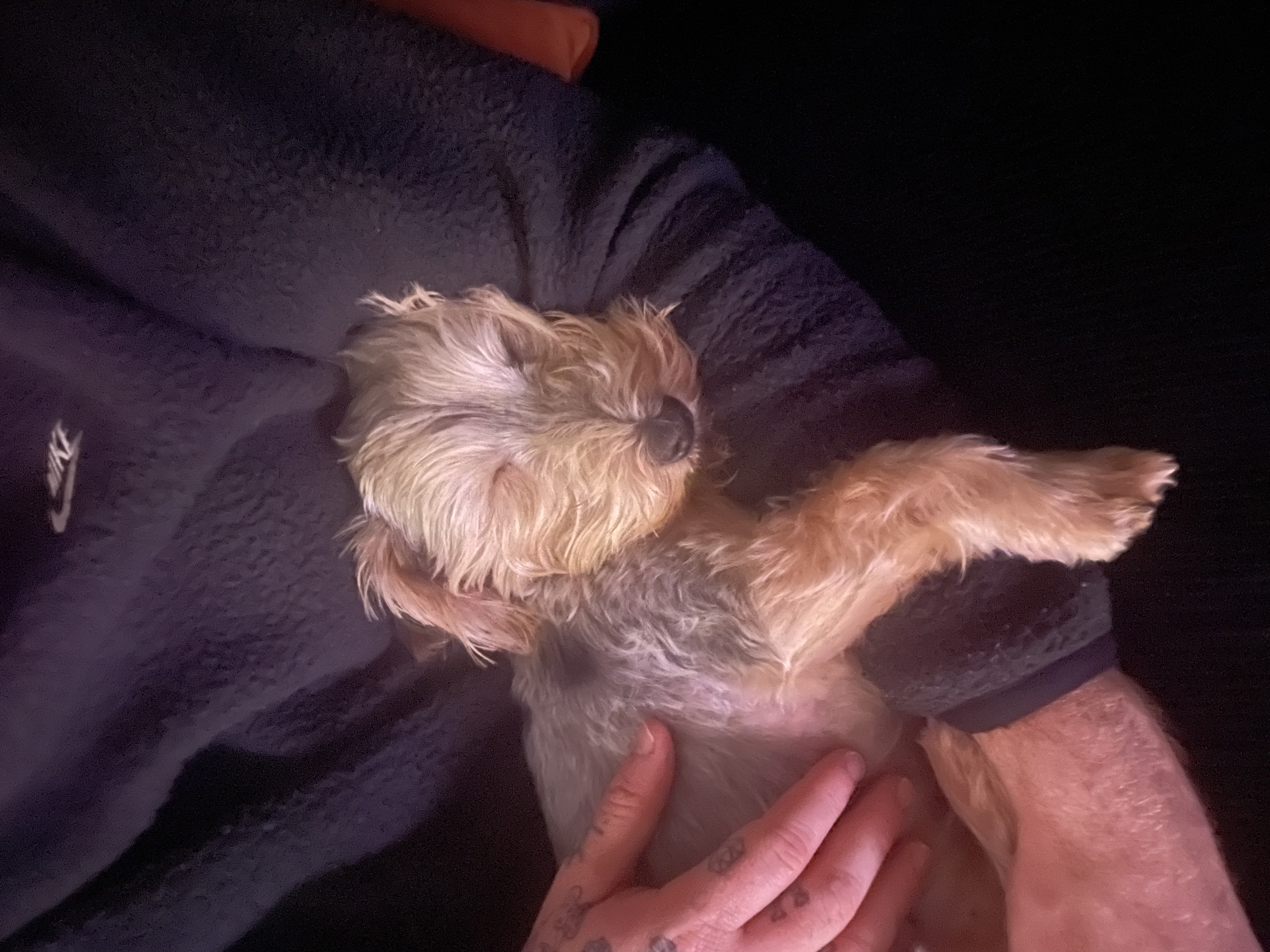 image-6