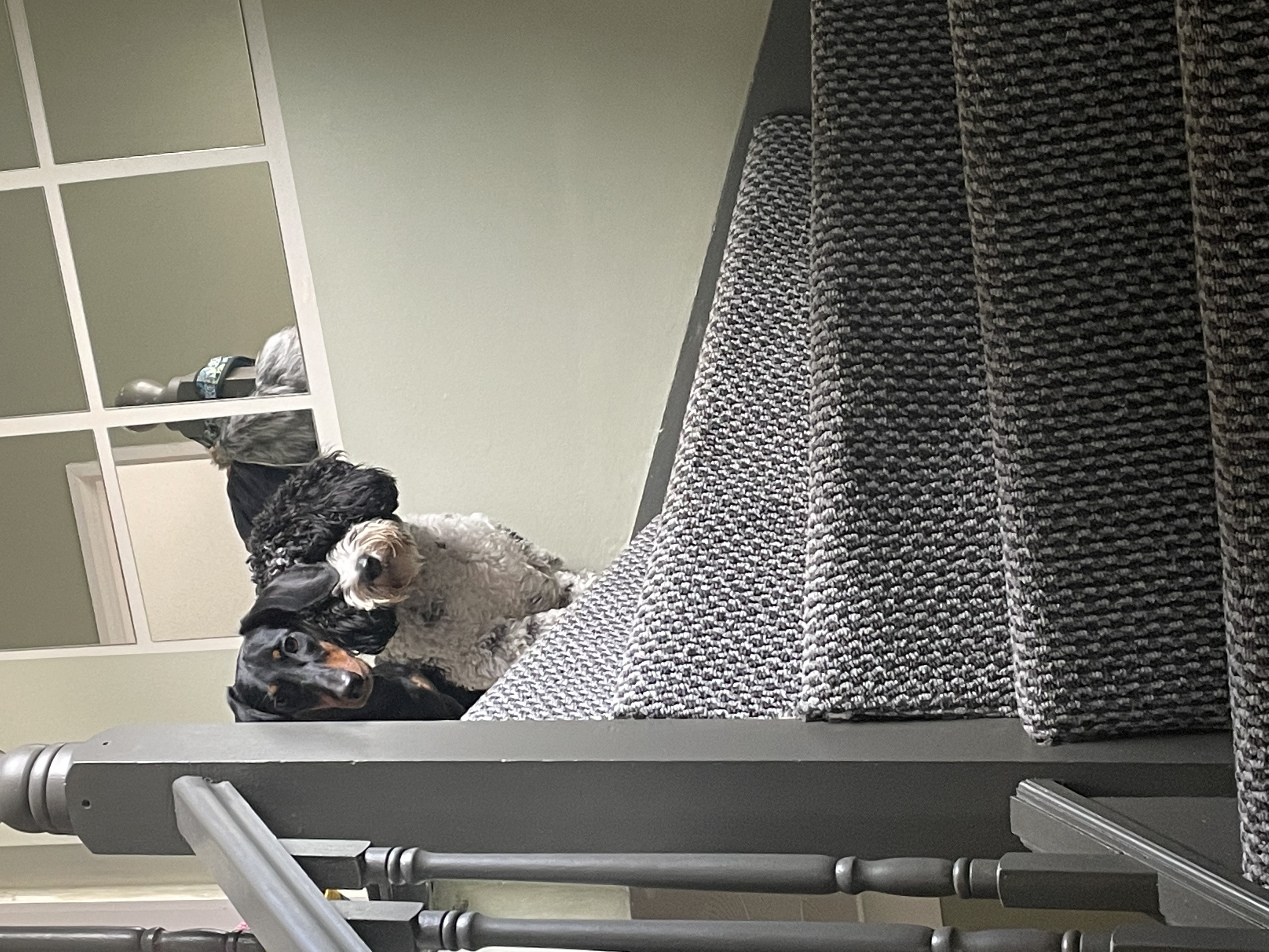 image-7