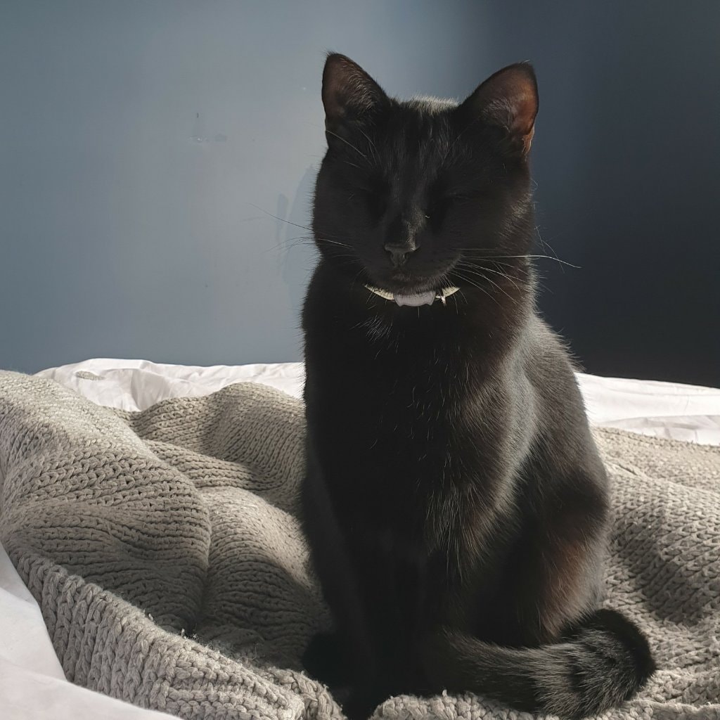 Remy 