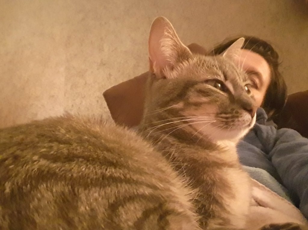 image-1