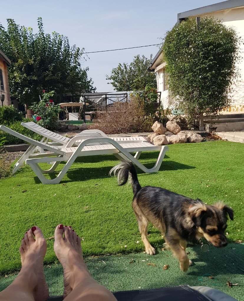 image-12