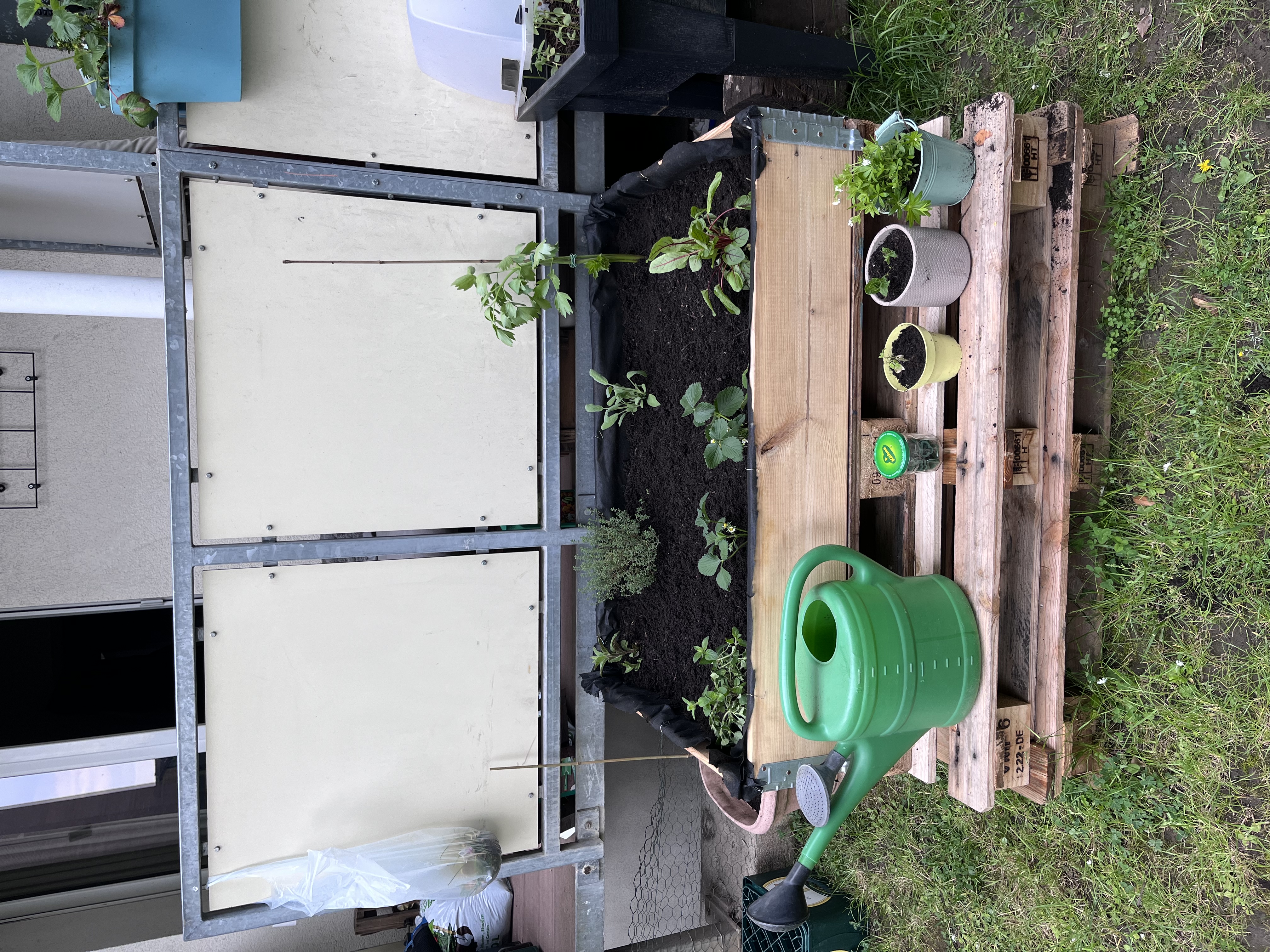 image-4