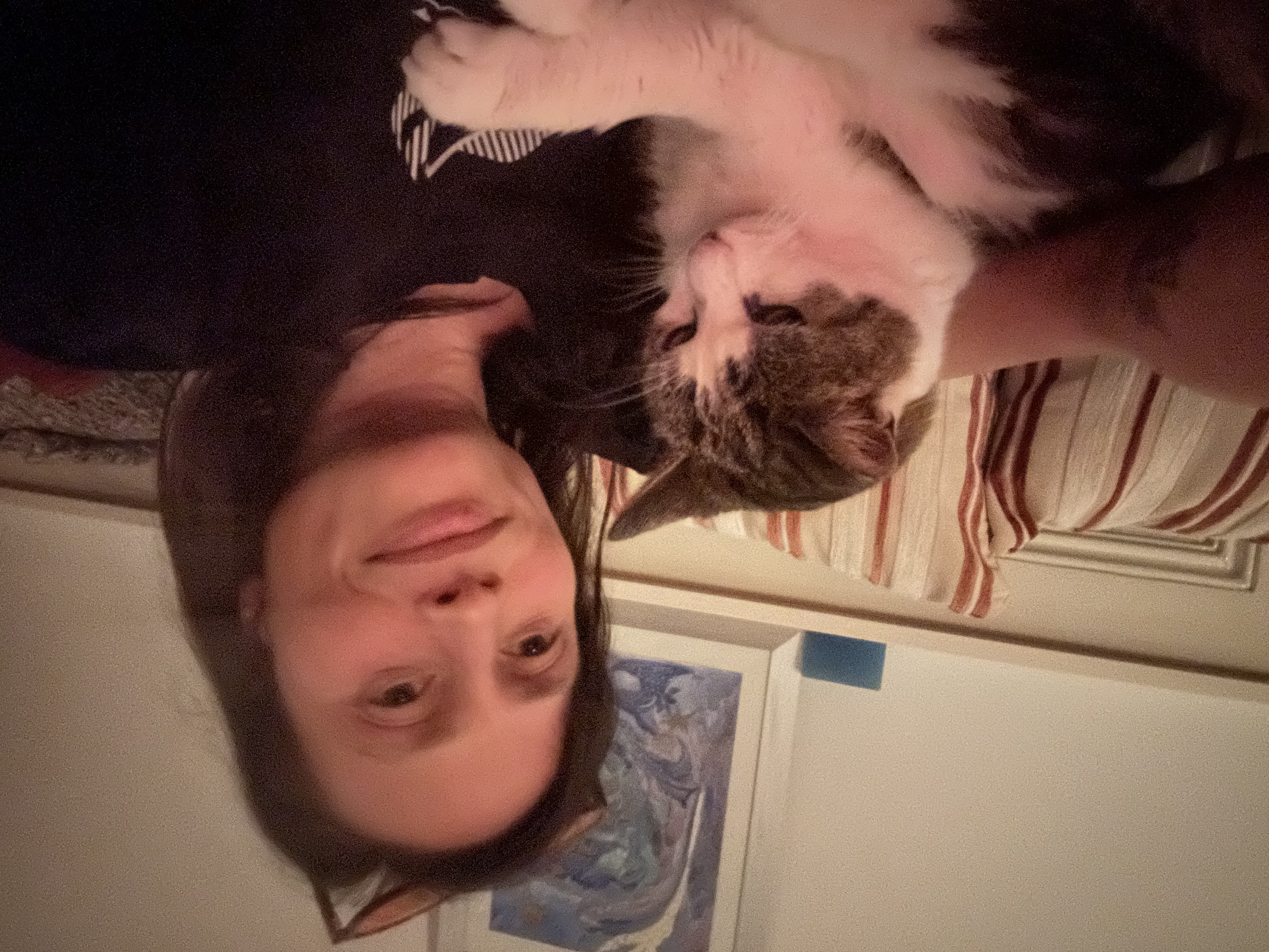 image-3