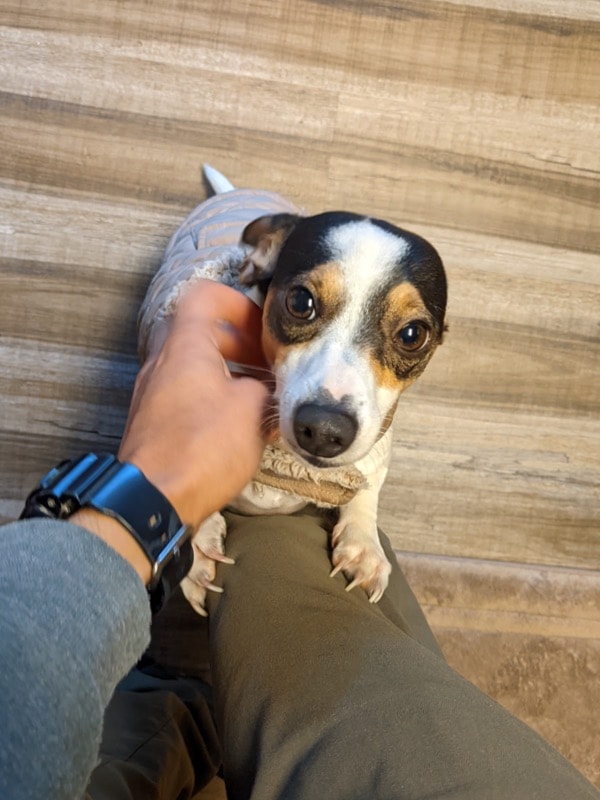 image-8