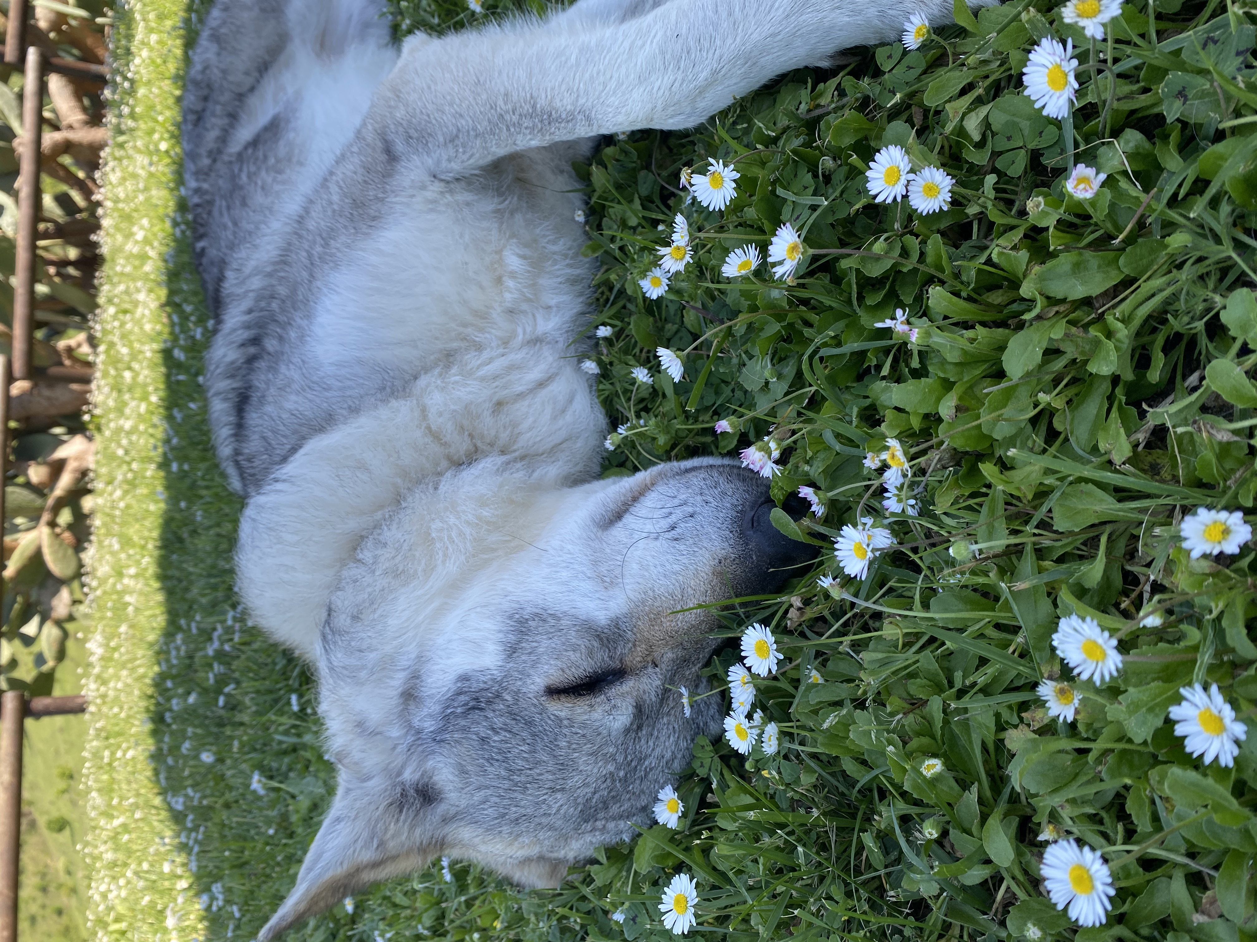 image-8
