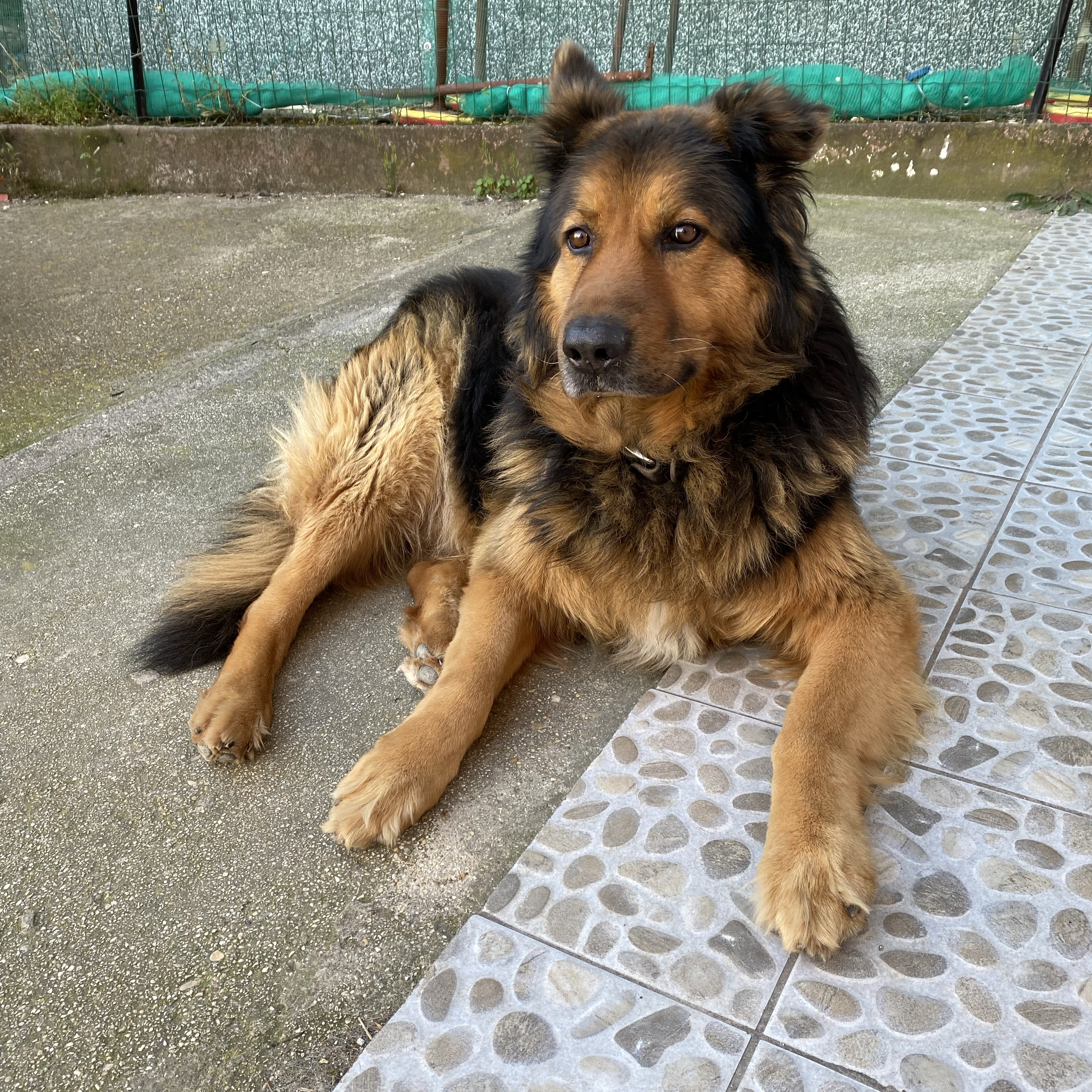 Thor