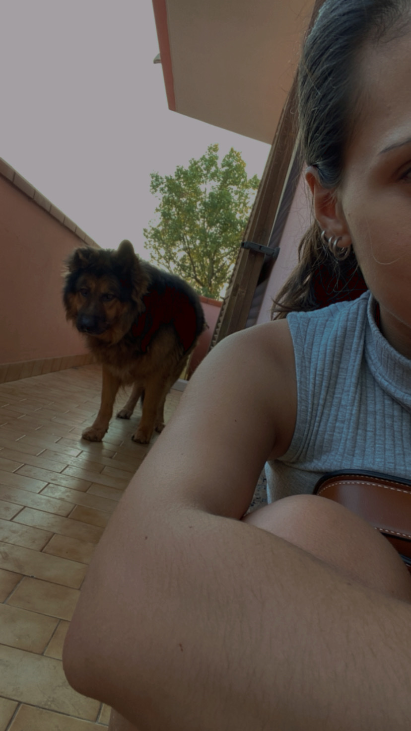 image-2