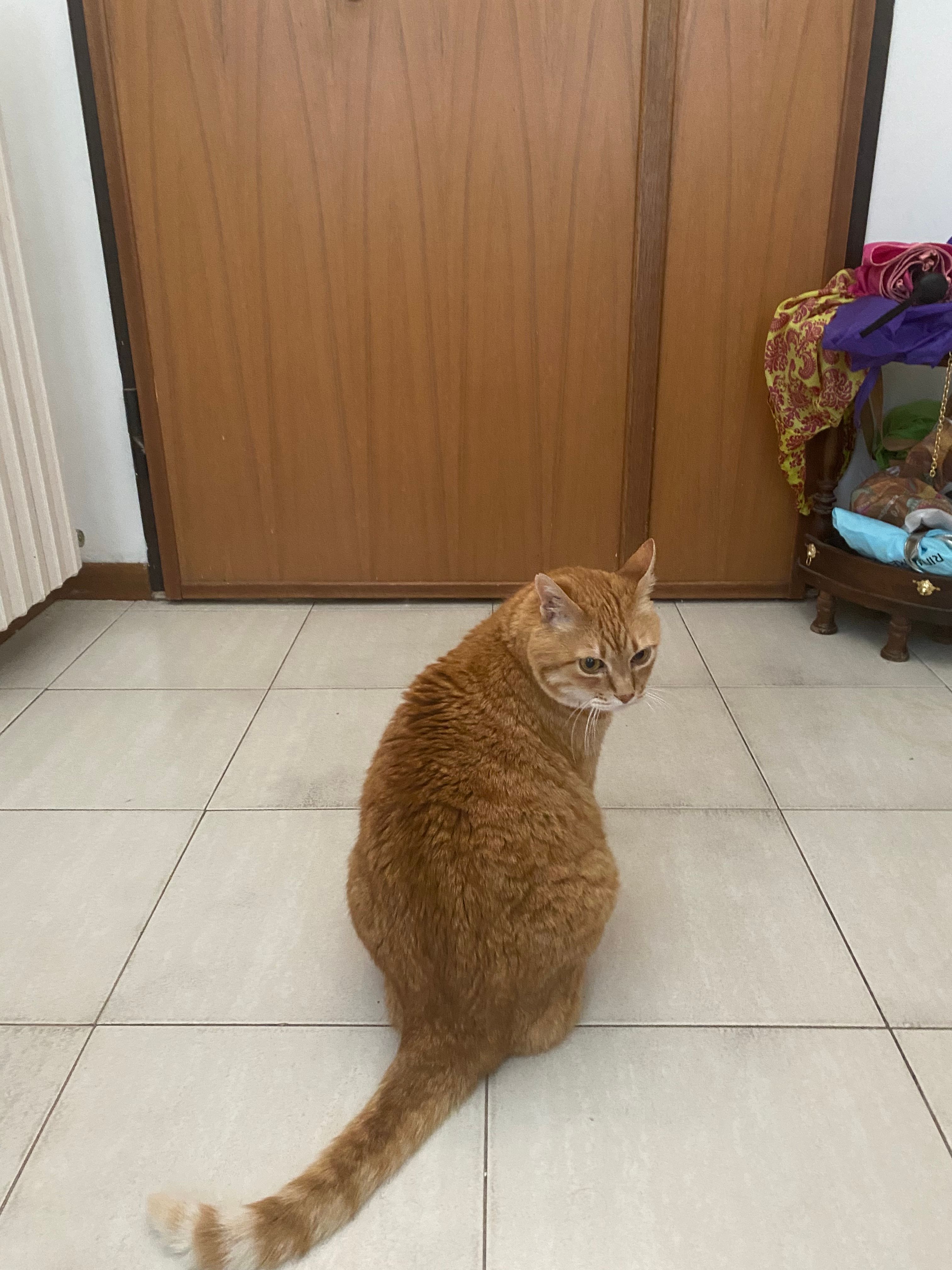 image-9