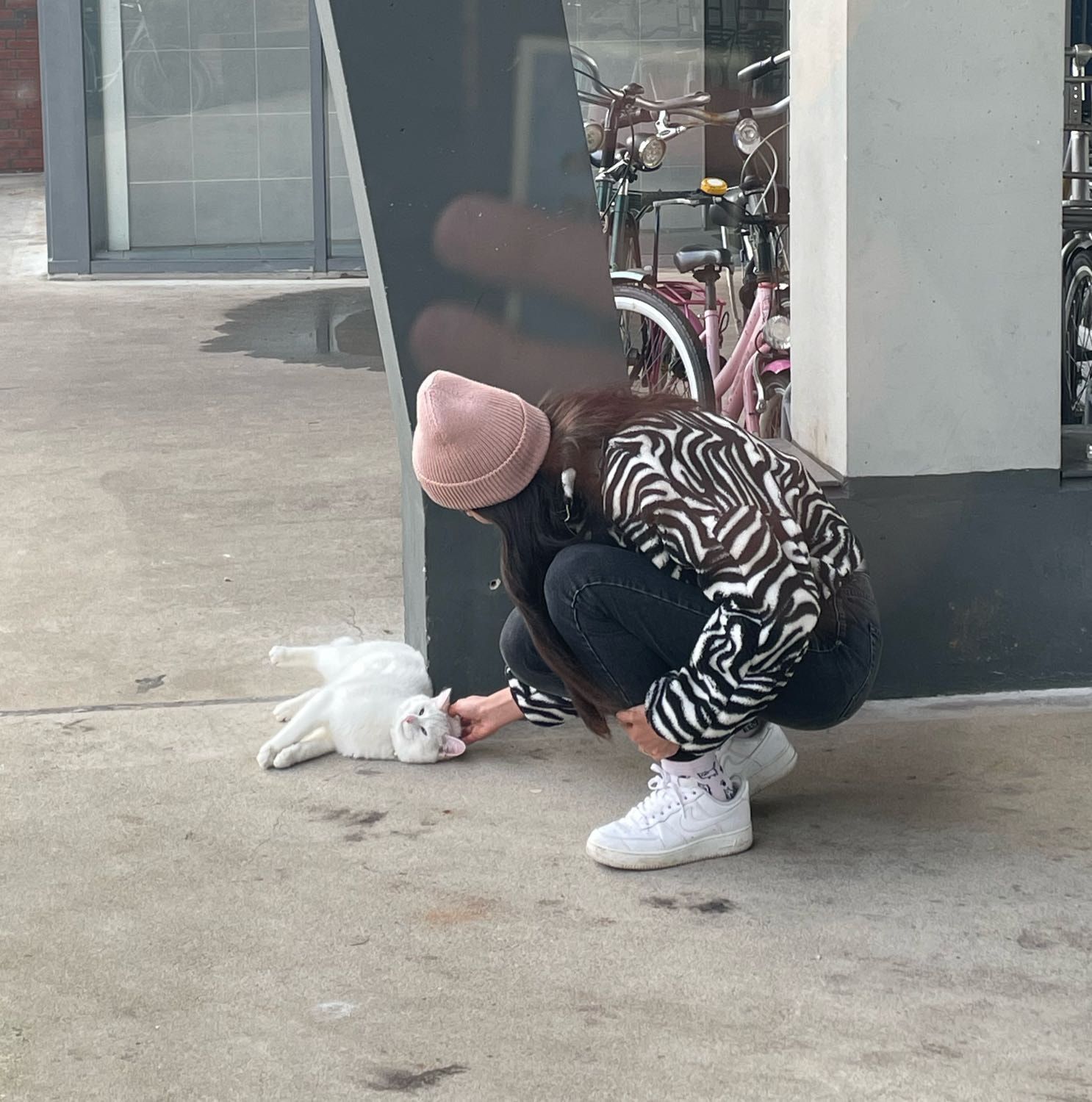 image-6