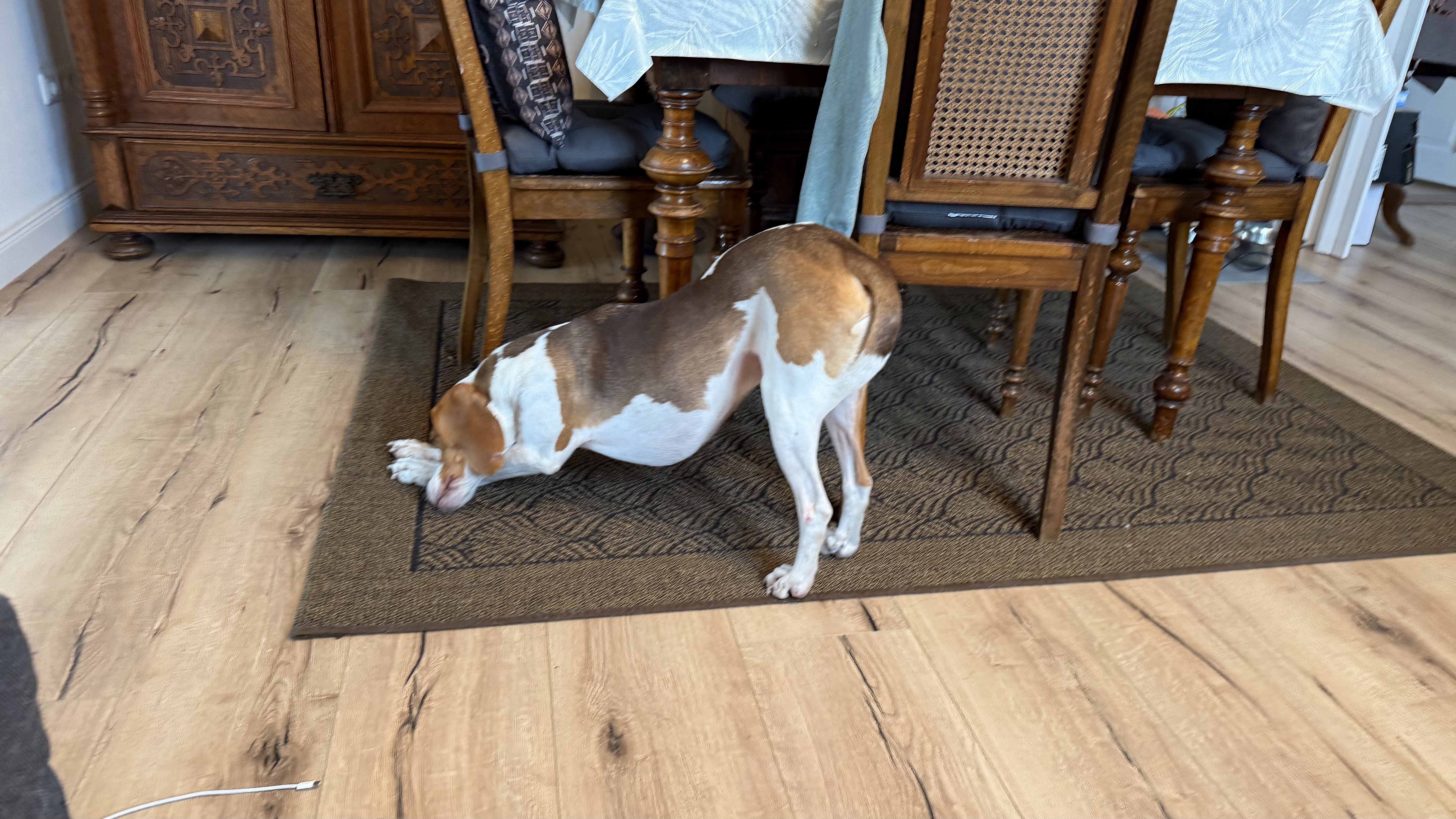 image-18