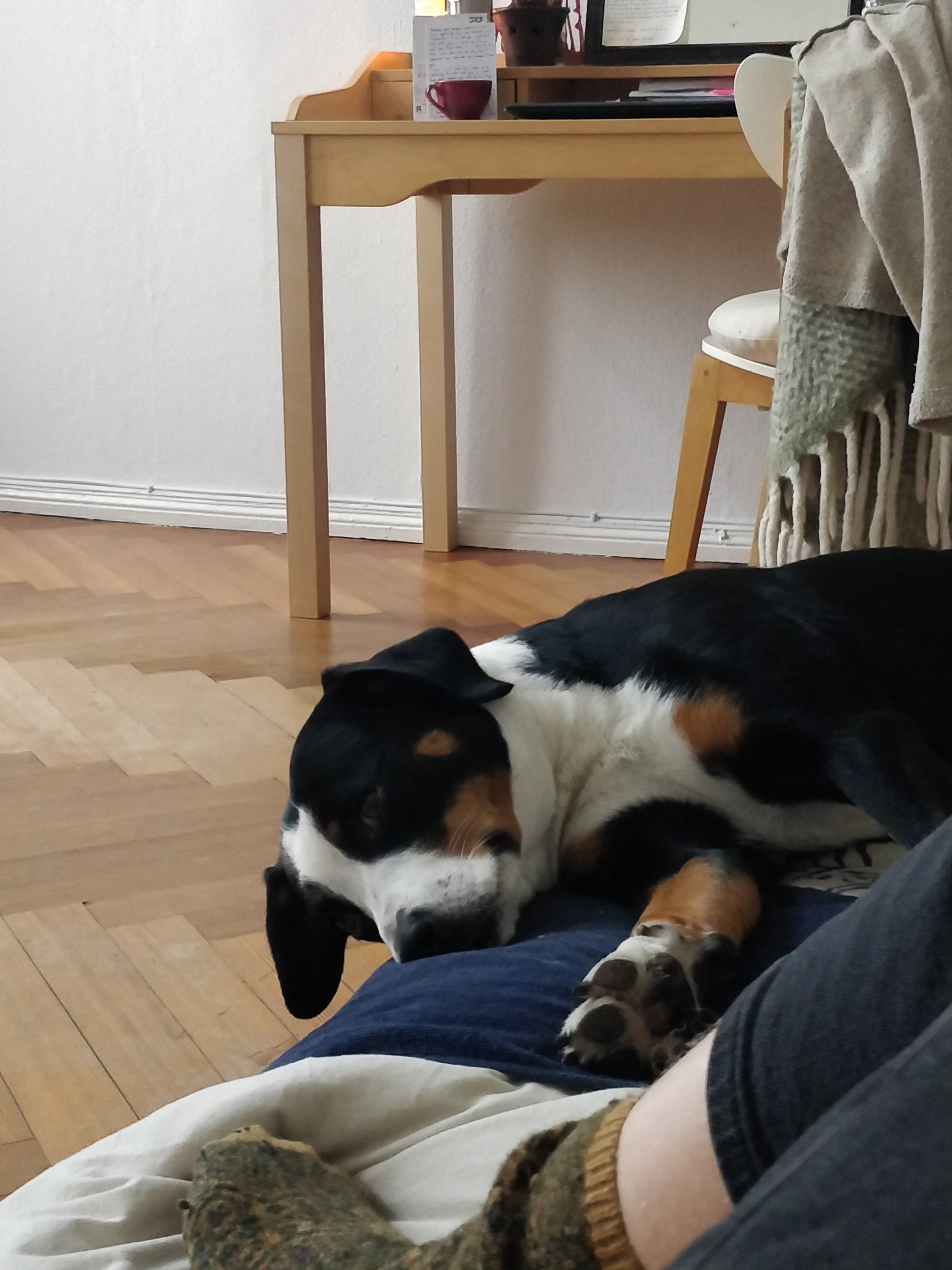 image-9