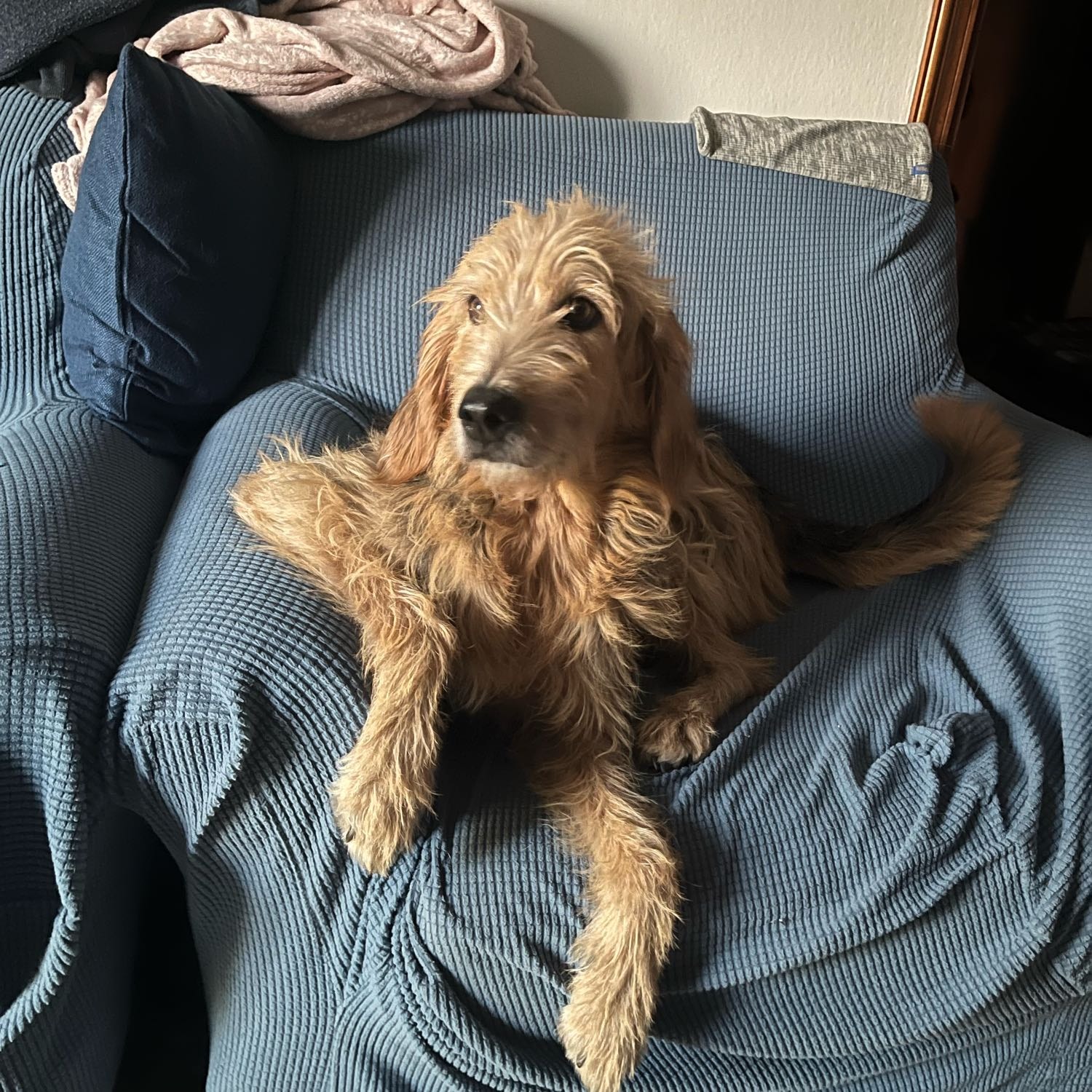 Billy