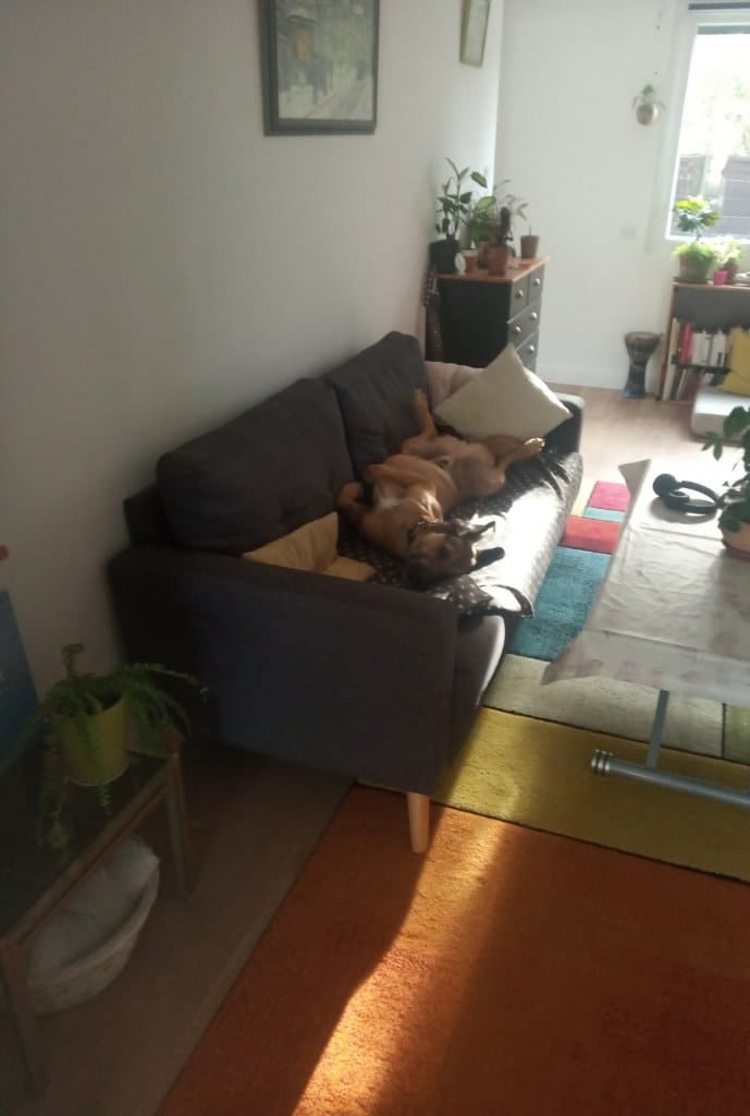 image-6