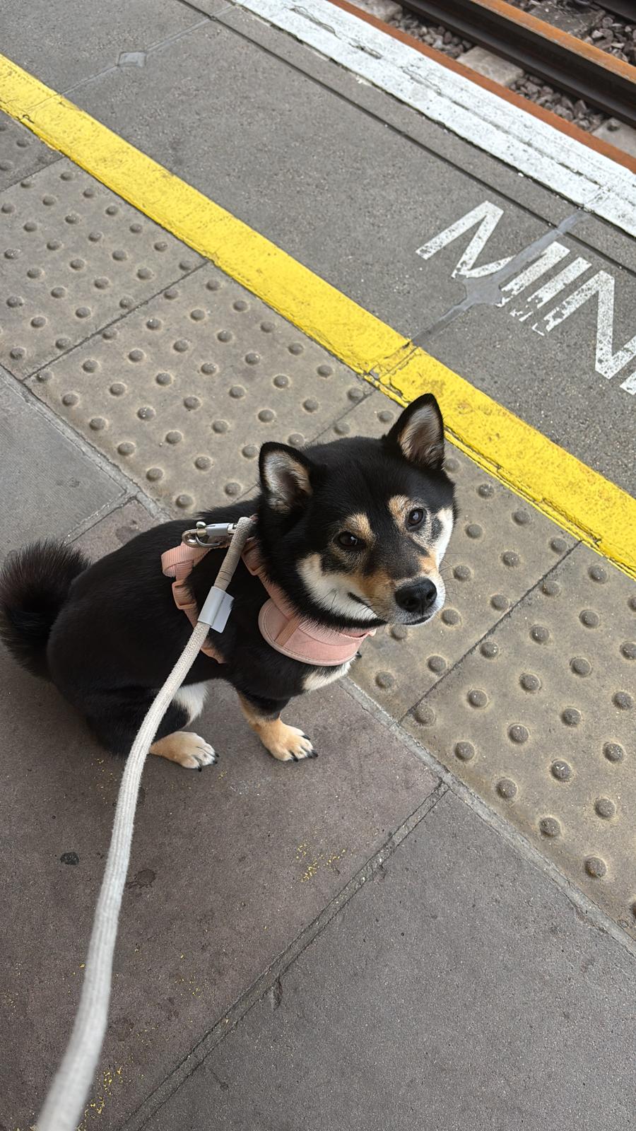 image-9