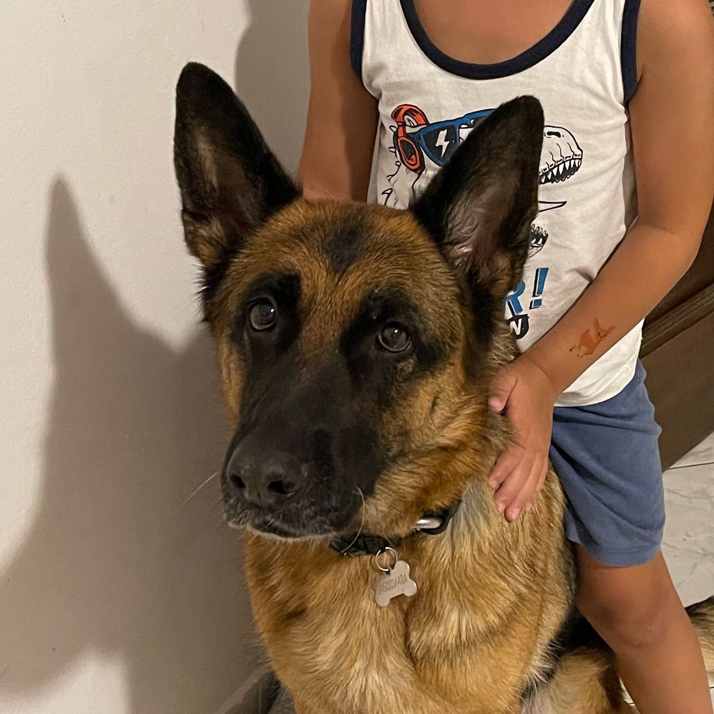 Maya
