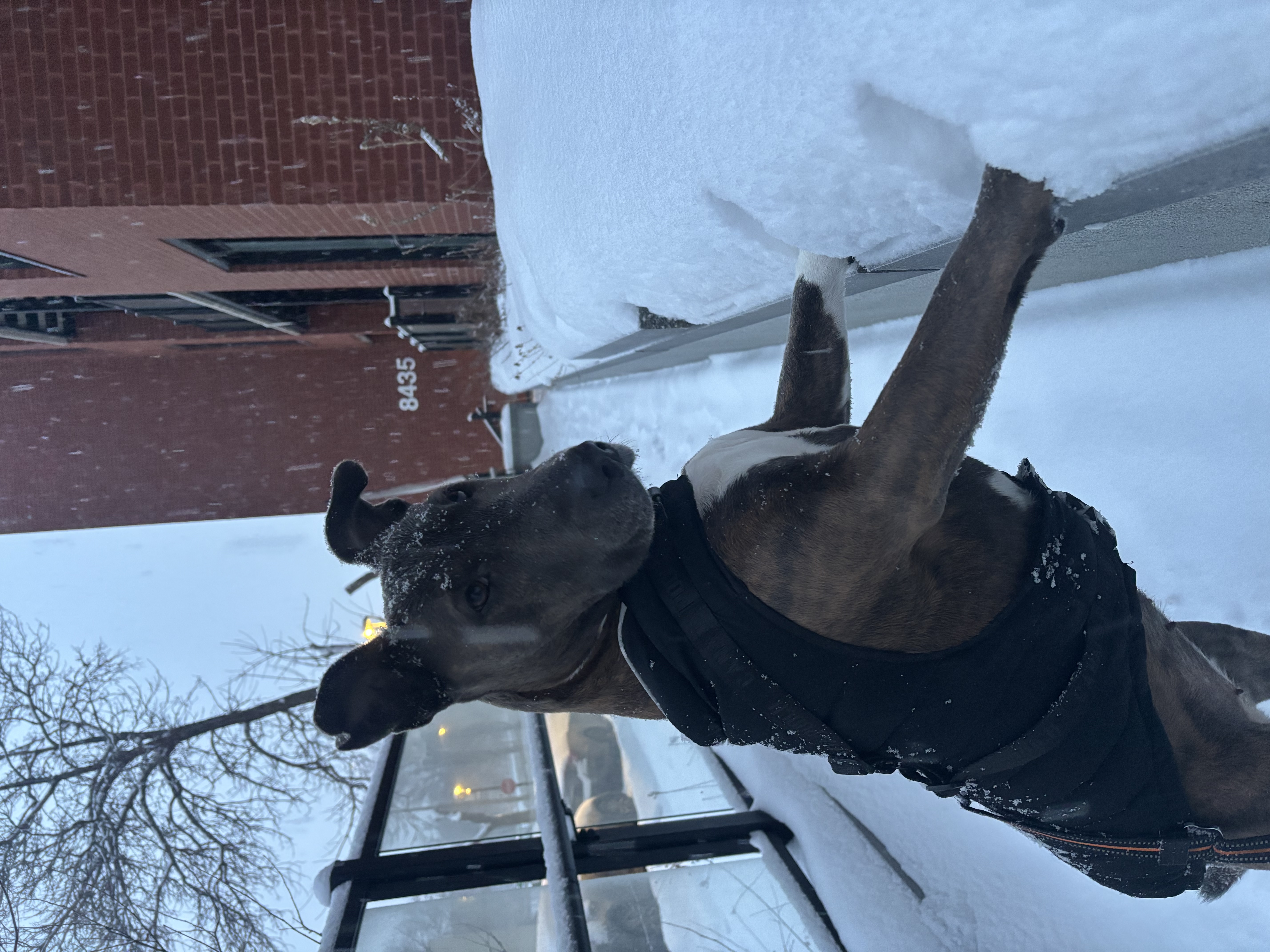 image-13