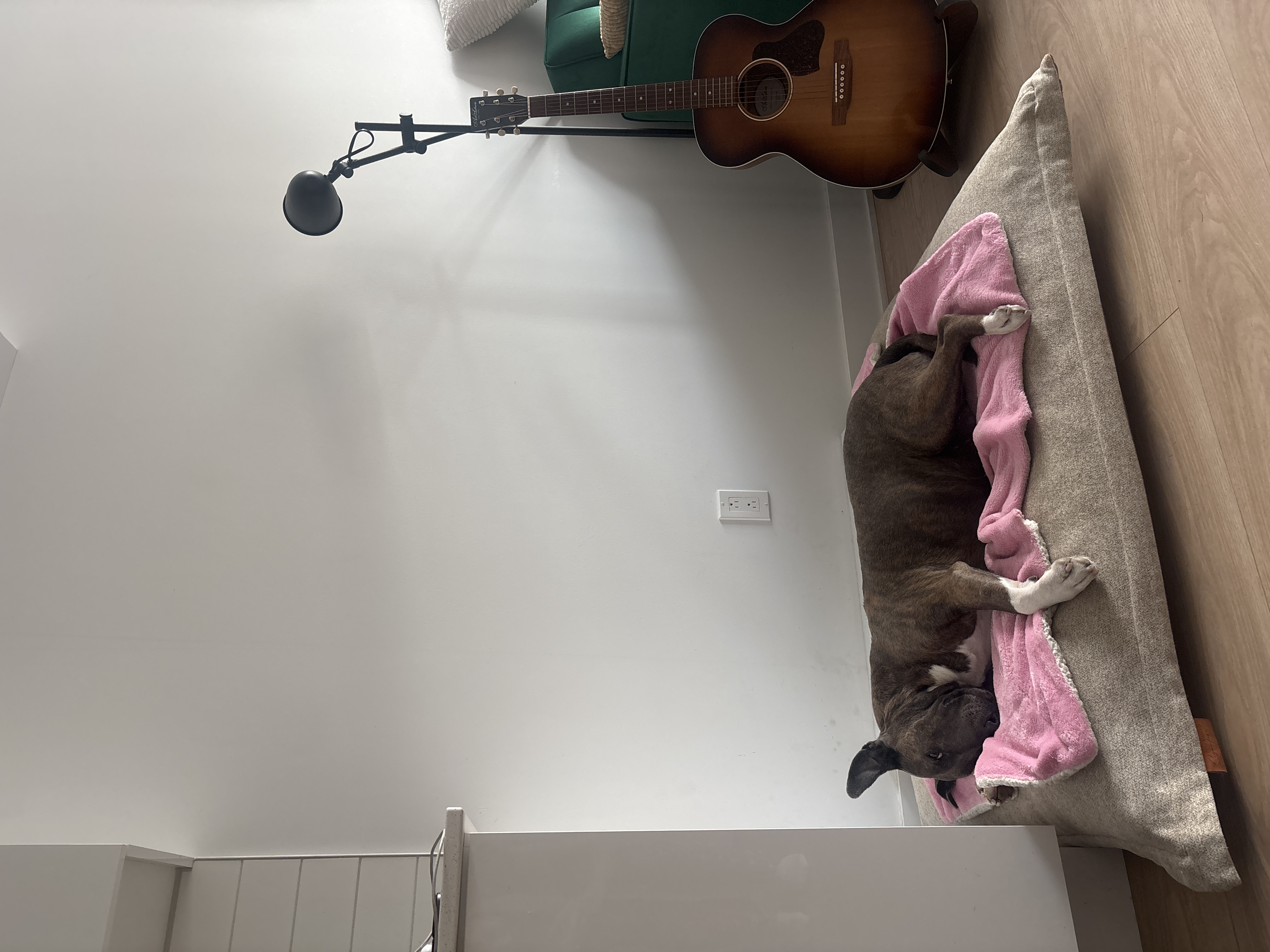 image-16