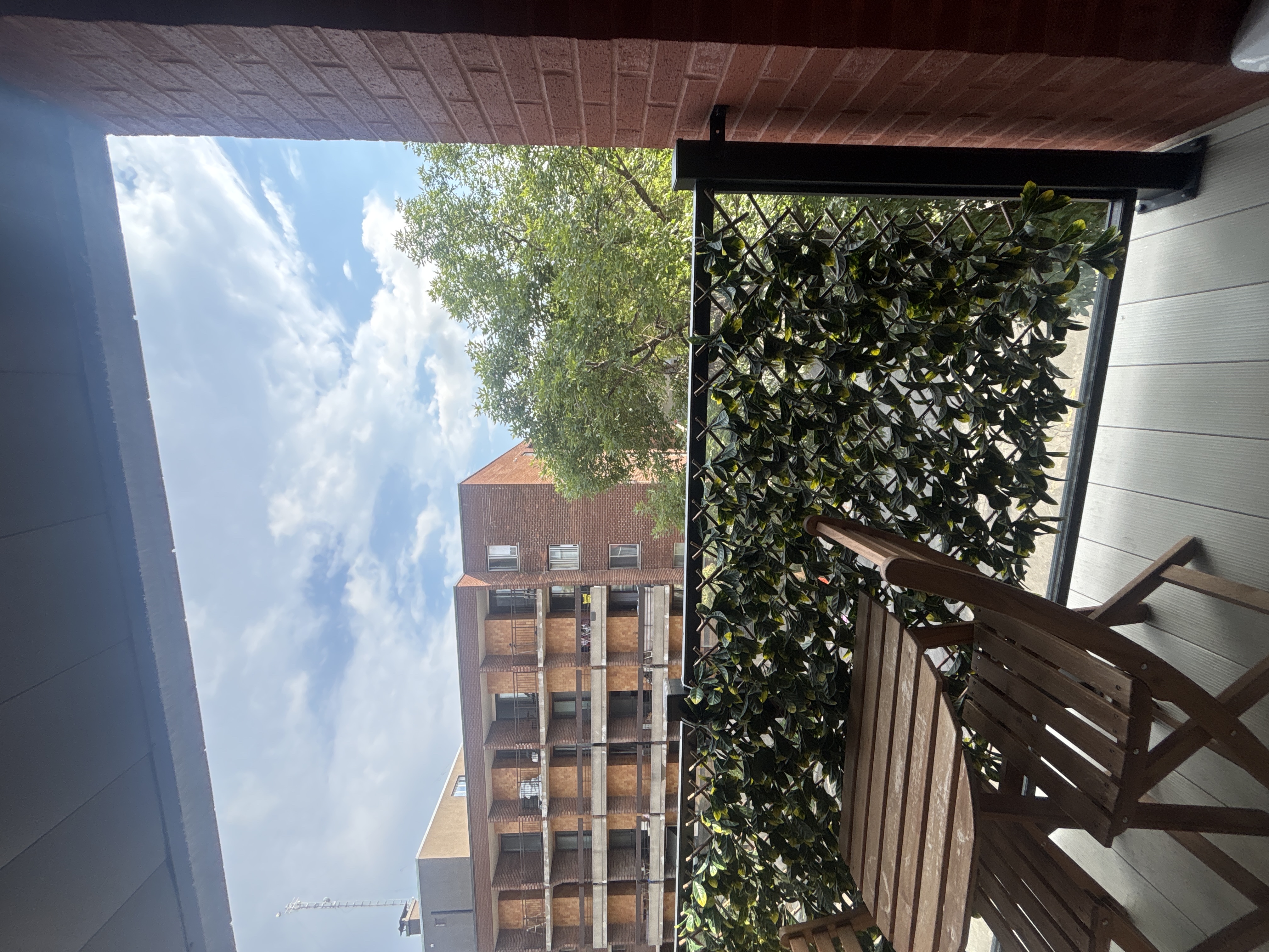 image-20