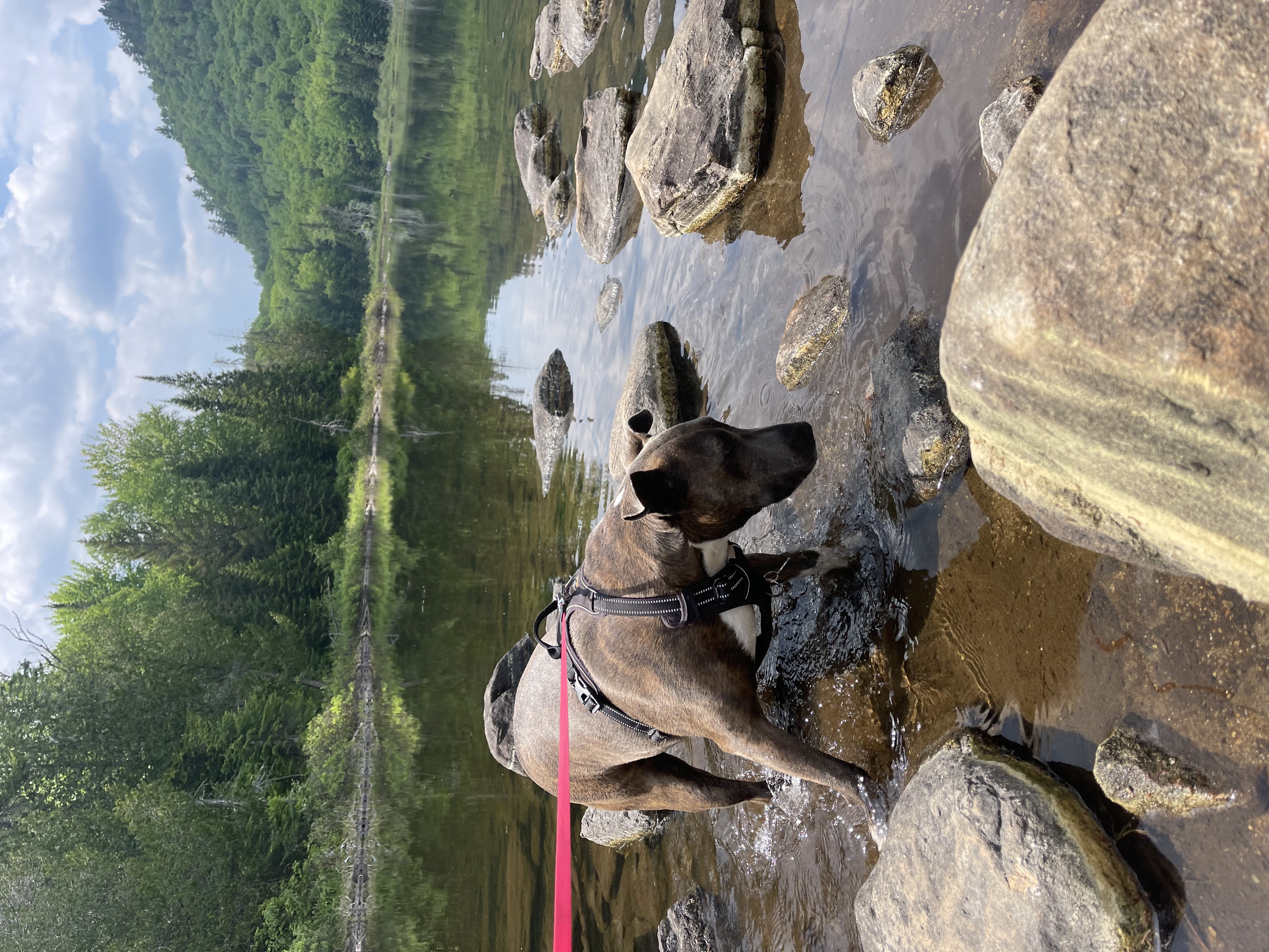 image-15