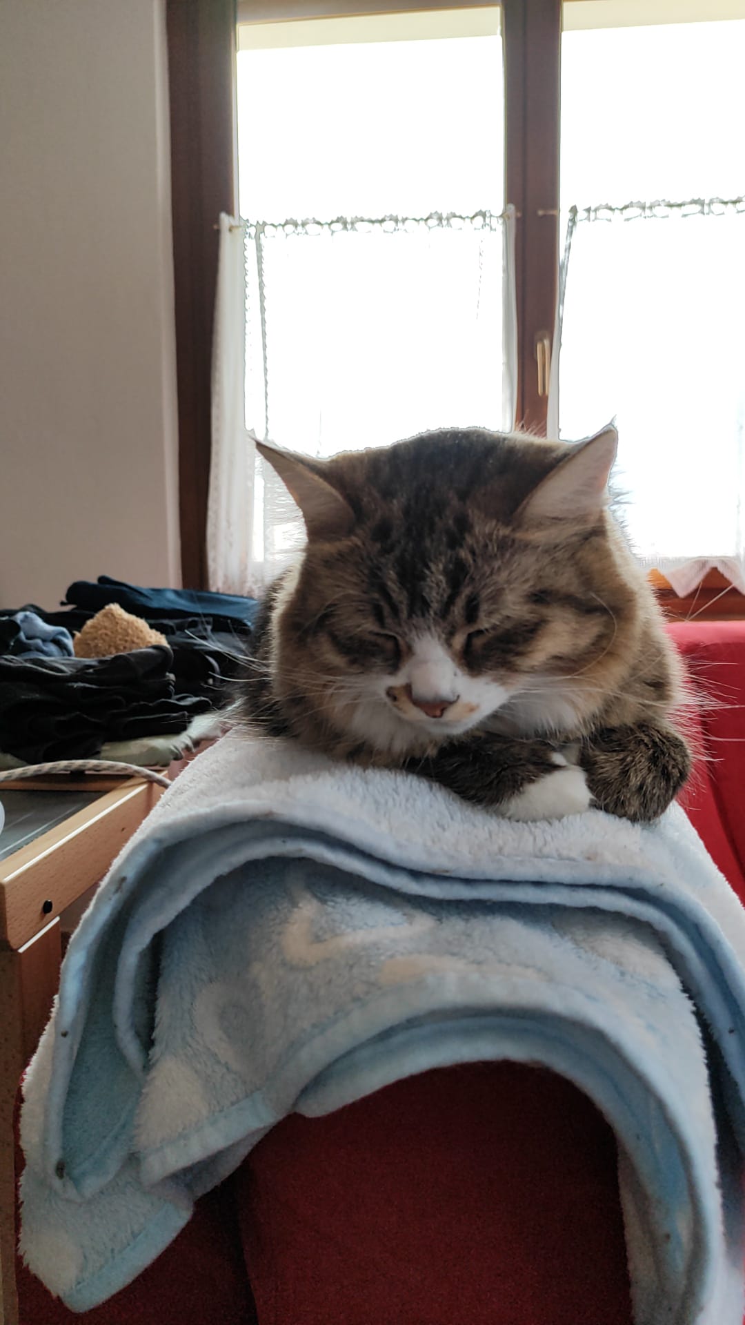 image-11