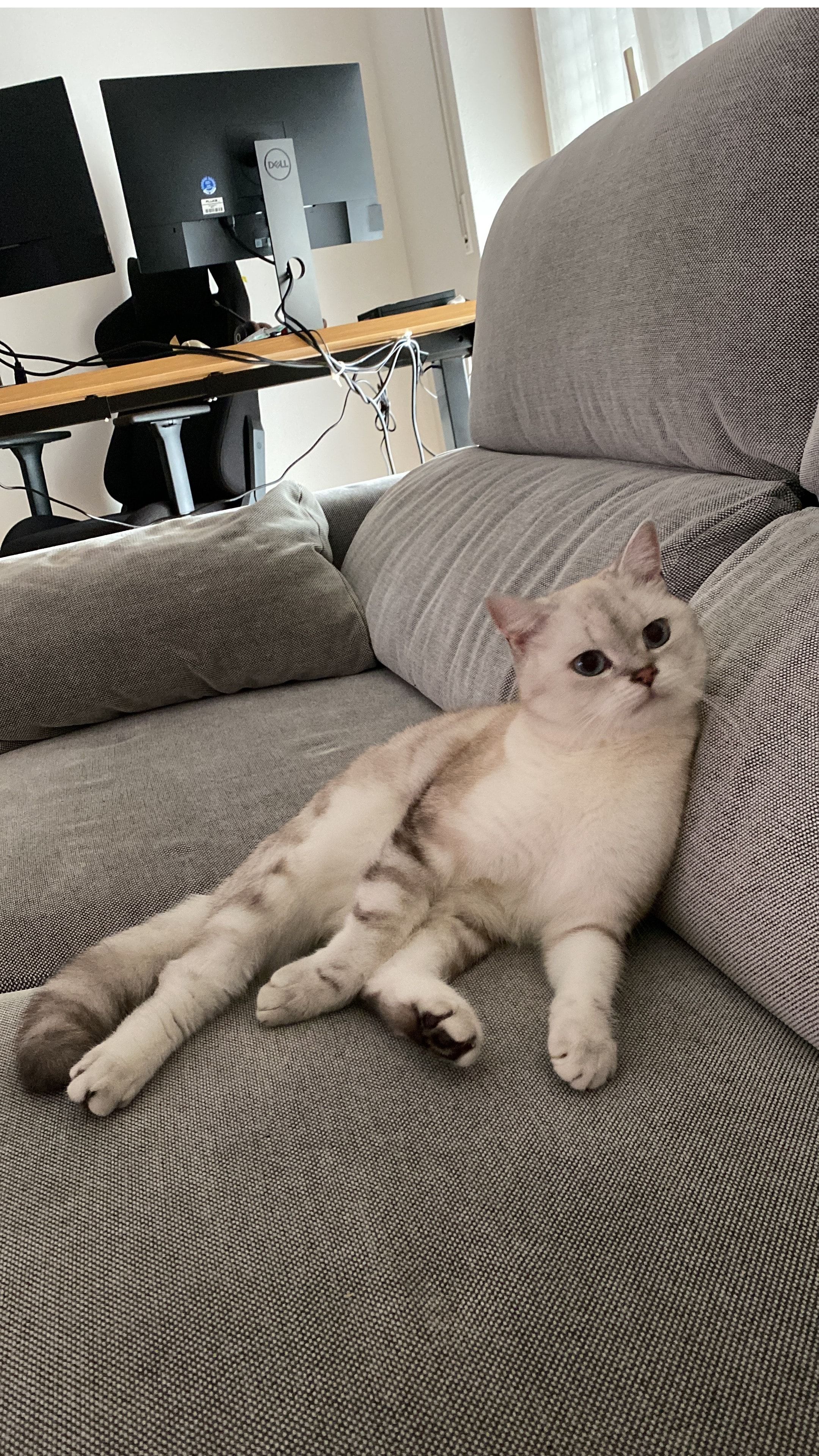 image-6