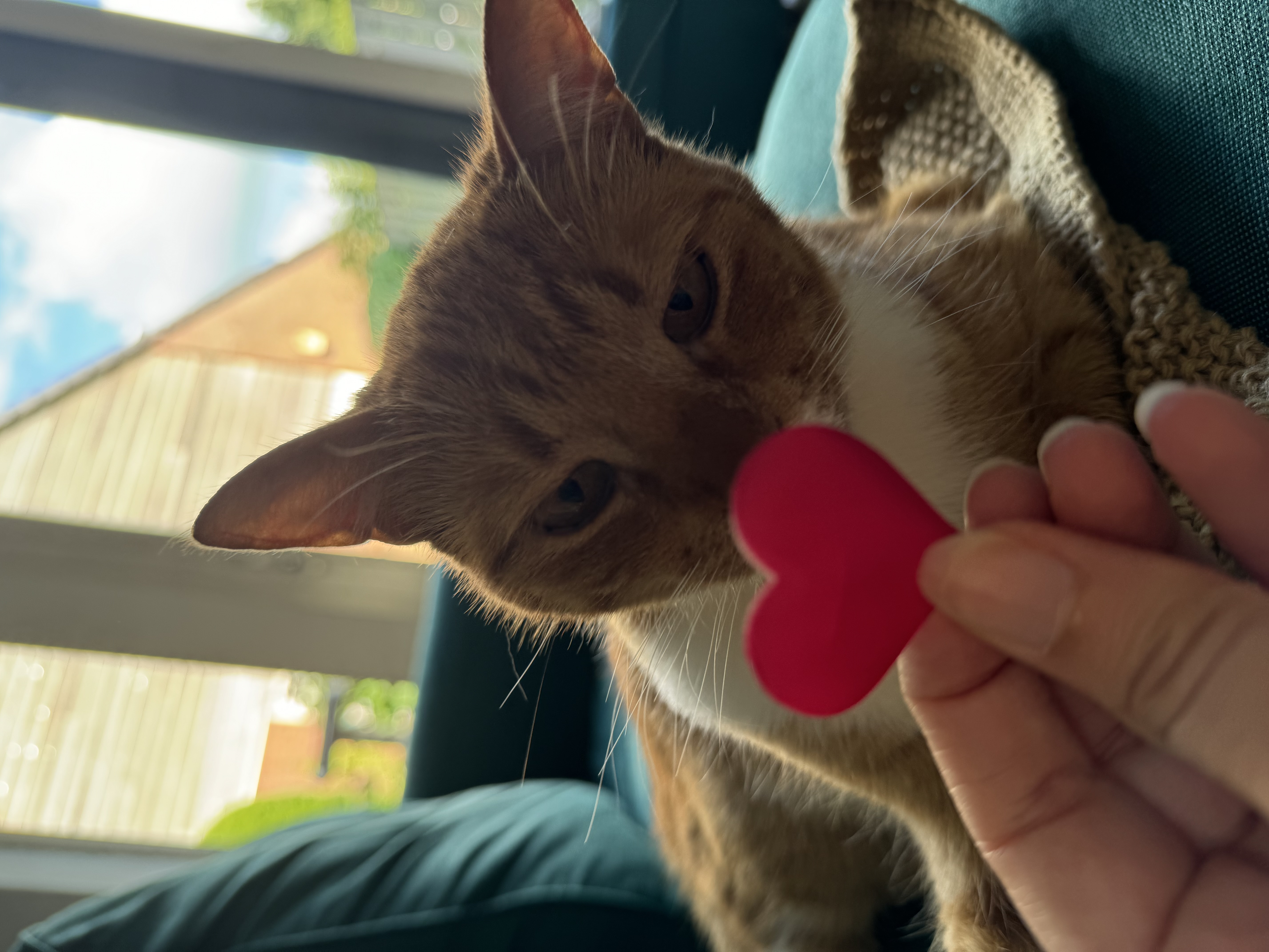 image-9