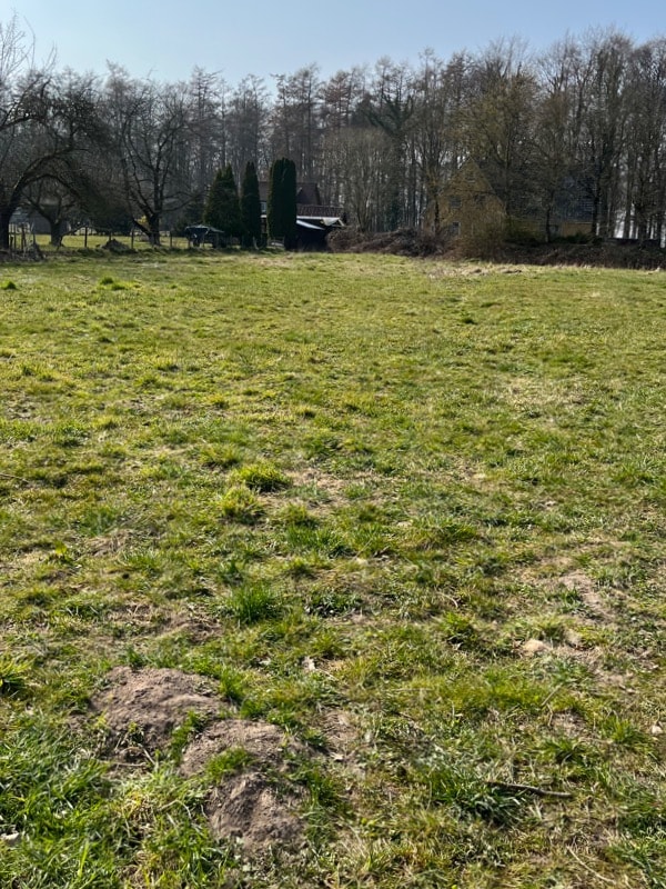 image-0