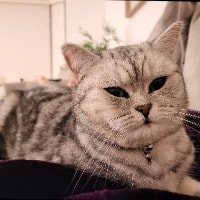 Kiko