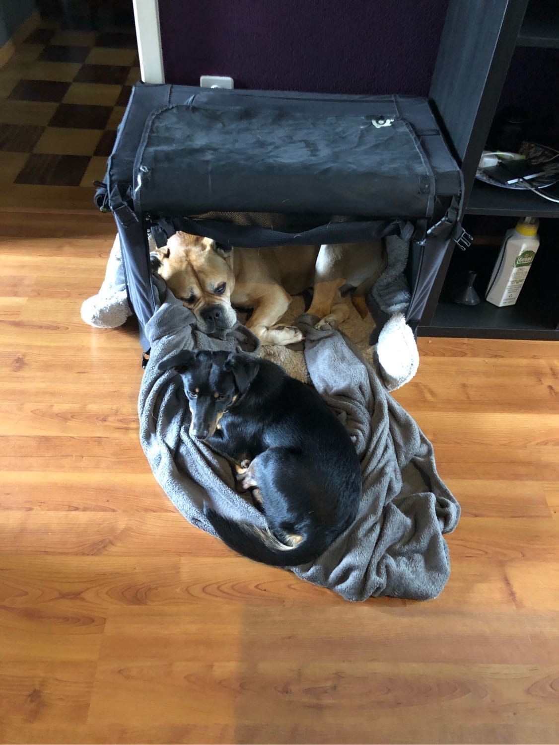 image-6
