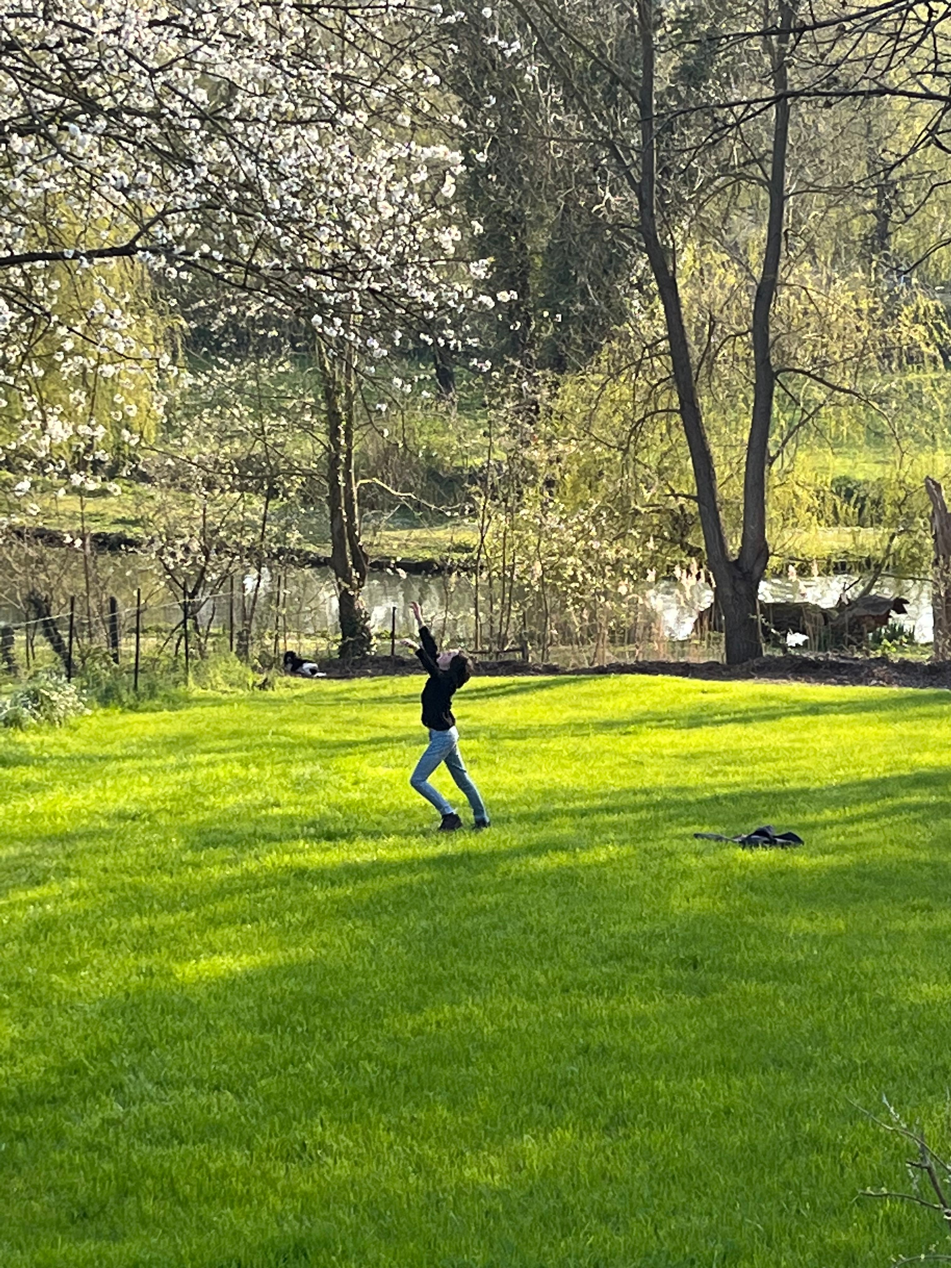 image-27