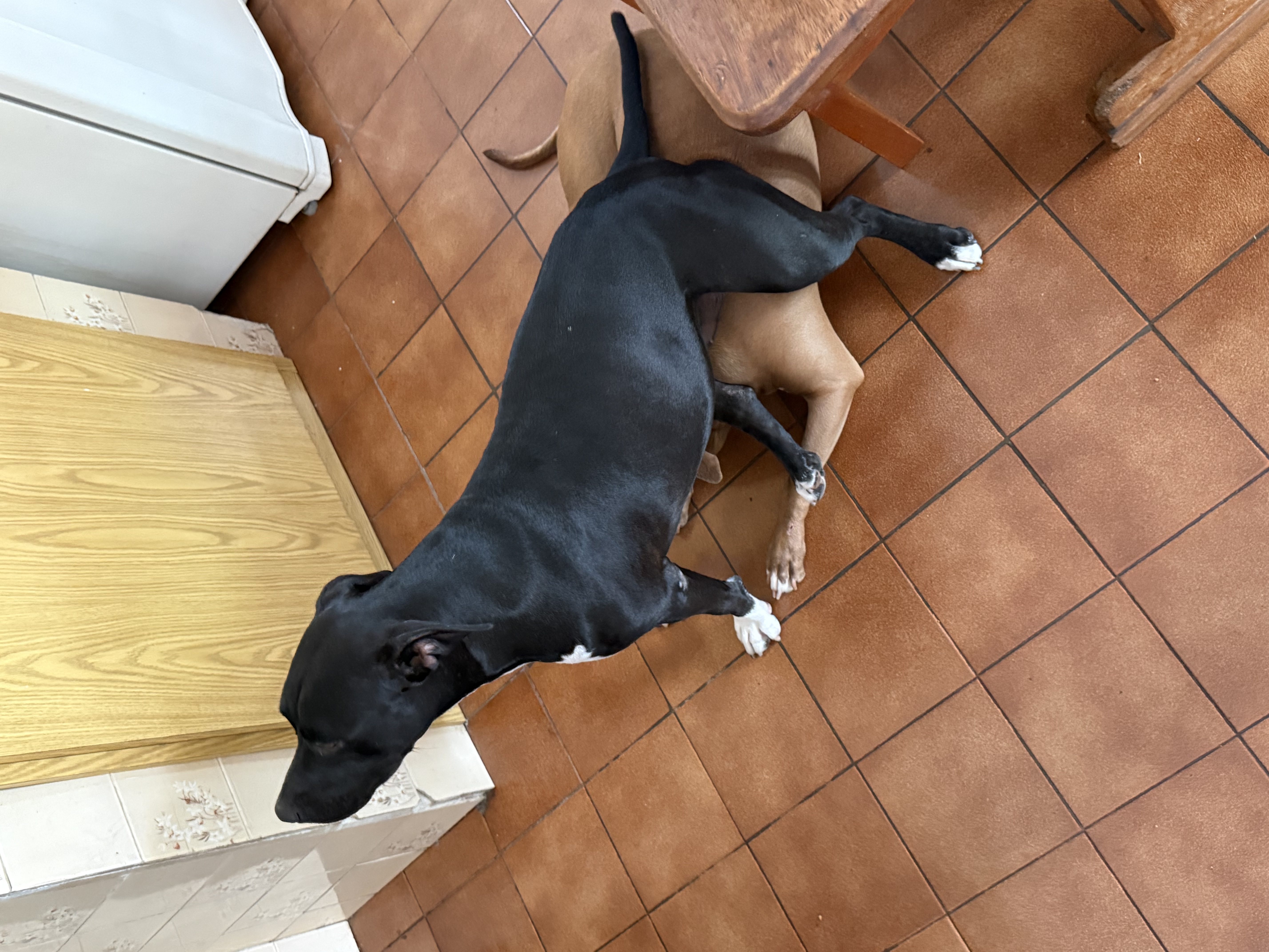image-5