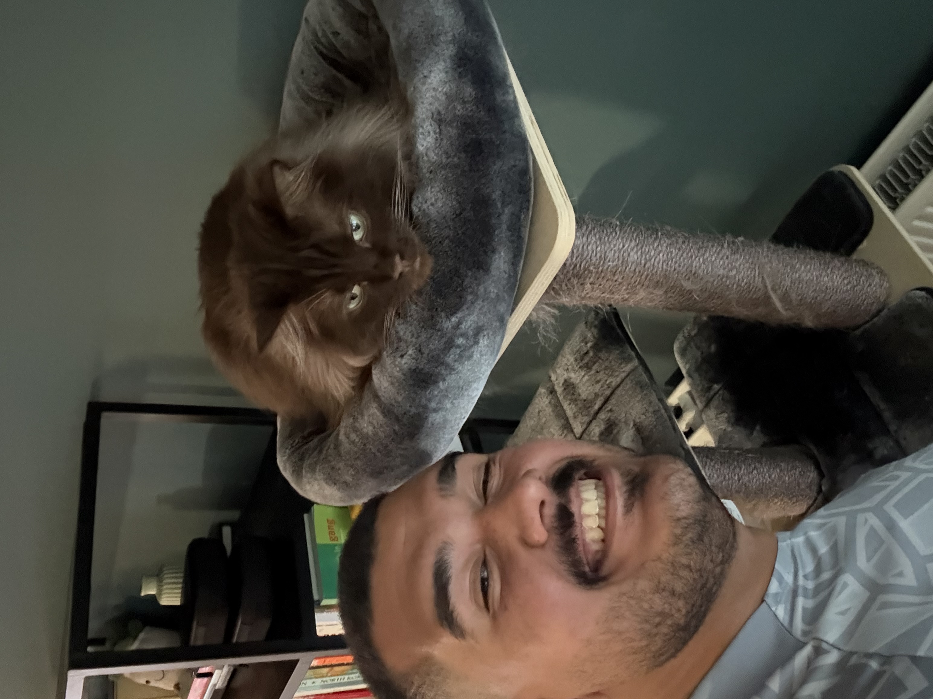 image-6